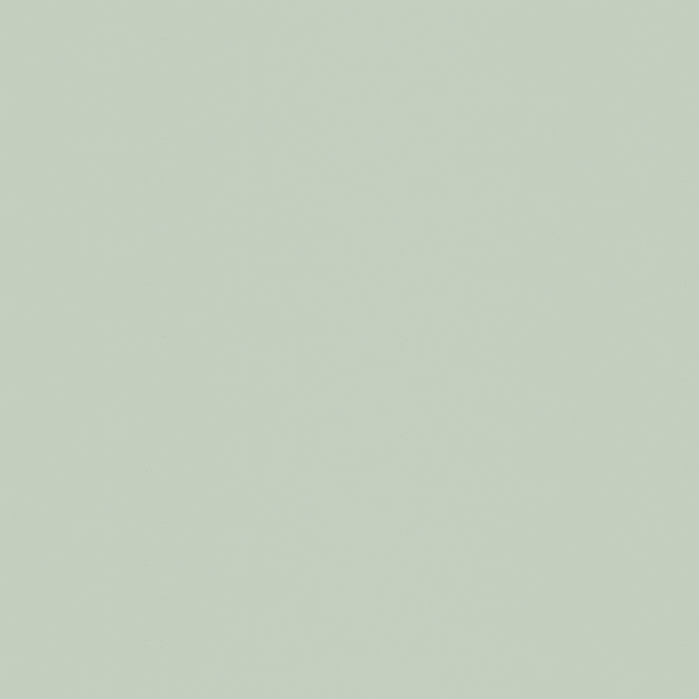 Superfresco Easy Vliestapete uni aufgeschäumt Uni - Taupe - 10m x 52cm