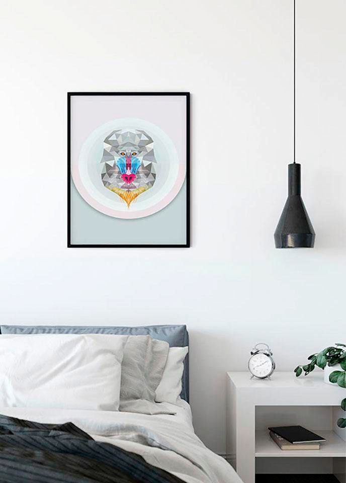 Komar Bild »Baboon«, Tiere, (1 St.), Wandbild zur Dekoration - ohne Rahmen