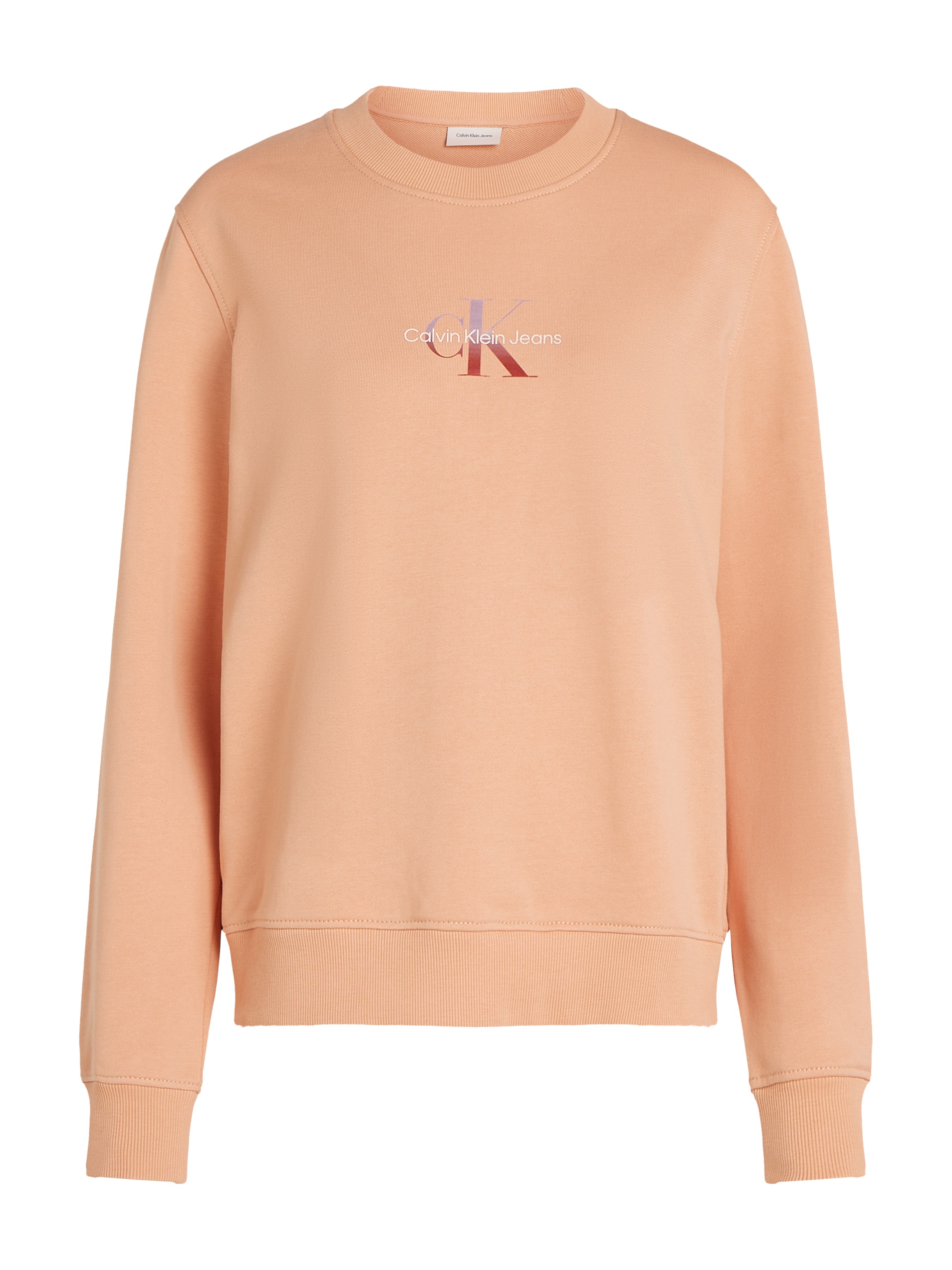 Calvin Klein Jeans Sweatshirt »GRADIENT MONOLOGO CREWNECK«, mit Logo
