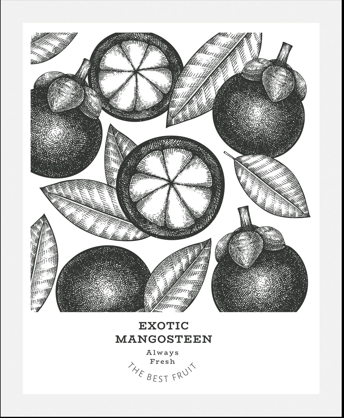 queence Bild »Exotic Mangosteen«, Obst-Obst Bilder-Essen-Lebensmittel-Kunst-Schriftzug-Schwarz-Weiß, (1 St.), HD Premium Poster-Druck inkl. Holzrahmen