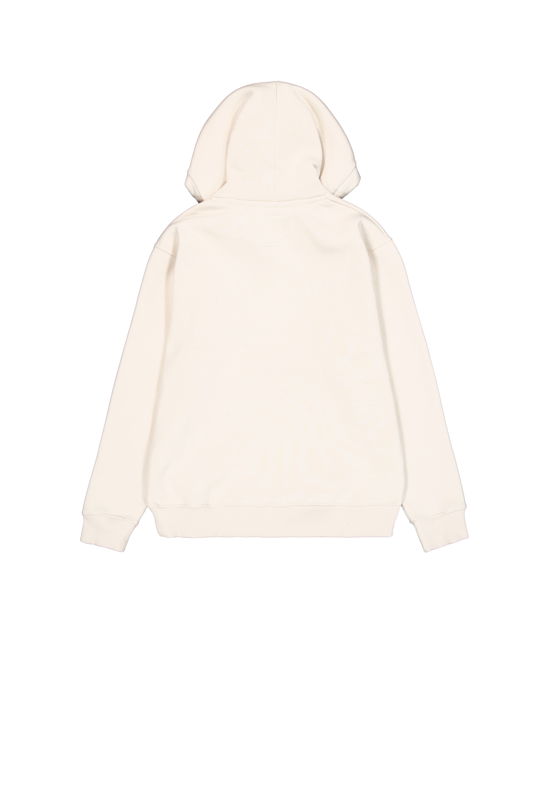 Alpha Industries Hoodie »Basic Hoodie SL«
