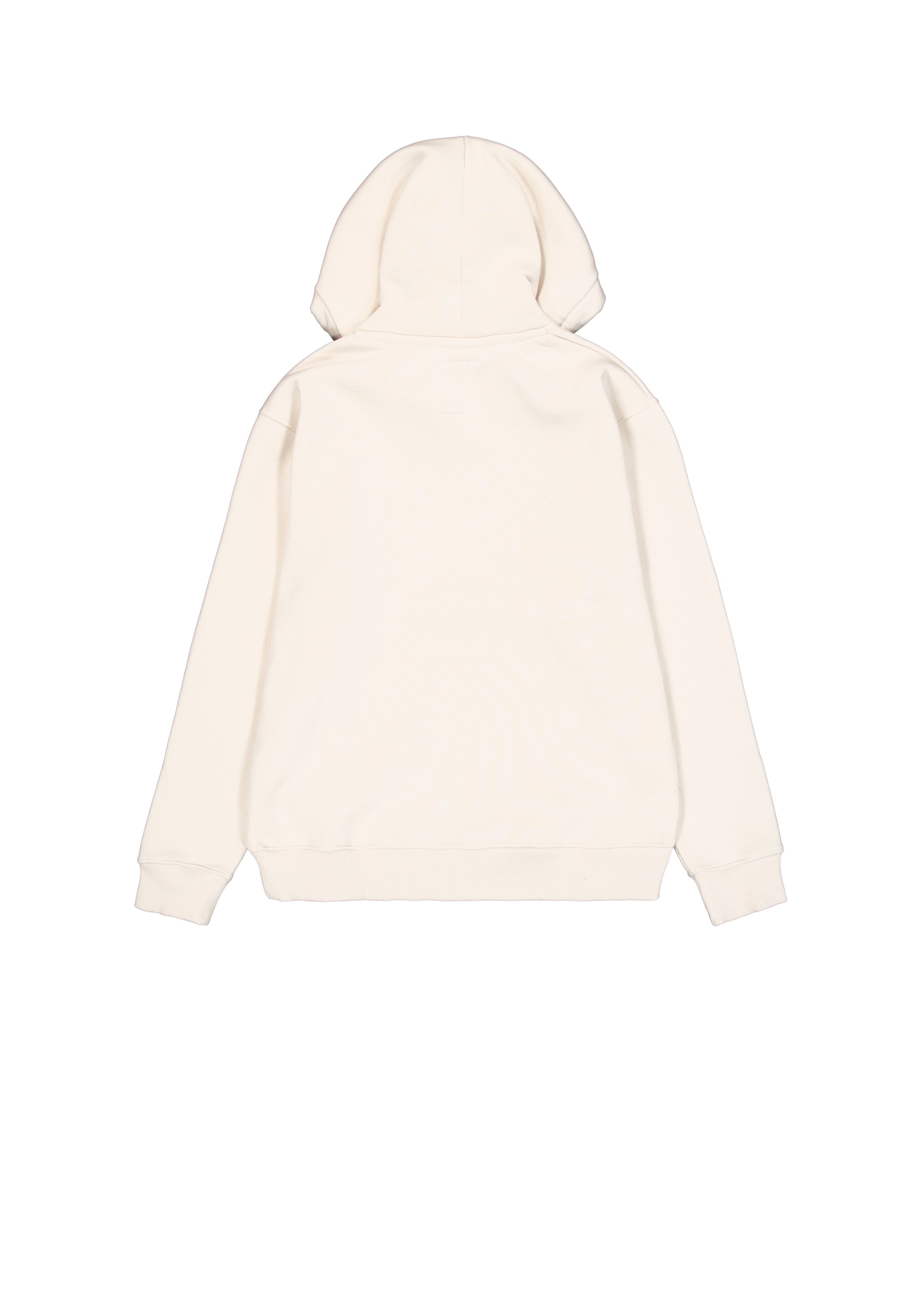 Alpha Industries Hoodie "Alpha Industries Men - Hoodies Basic Hoodie SL" günstig online kaufen