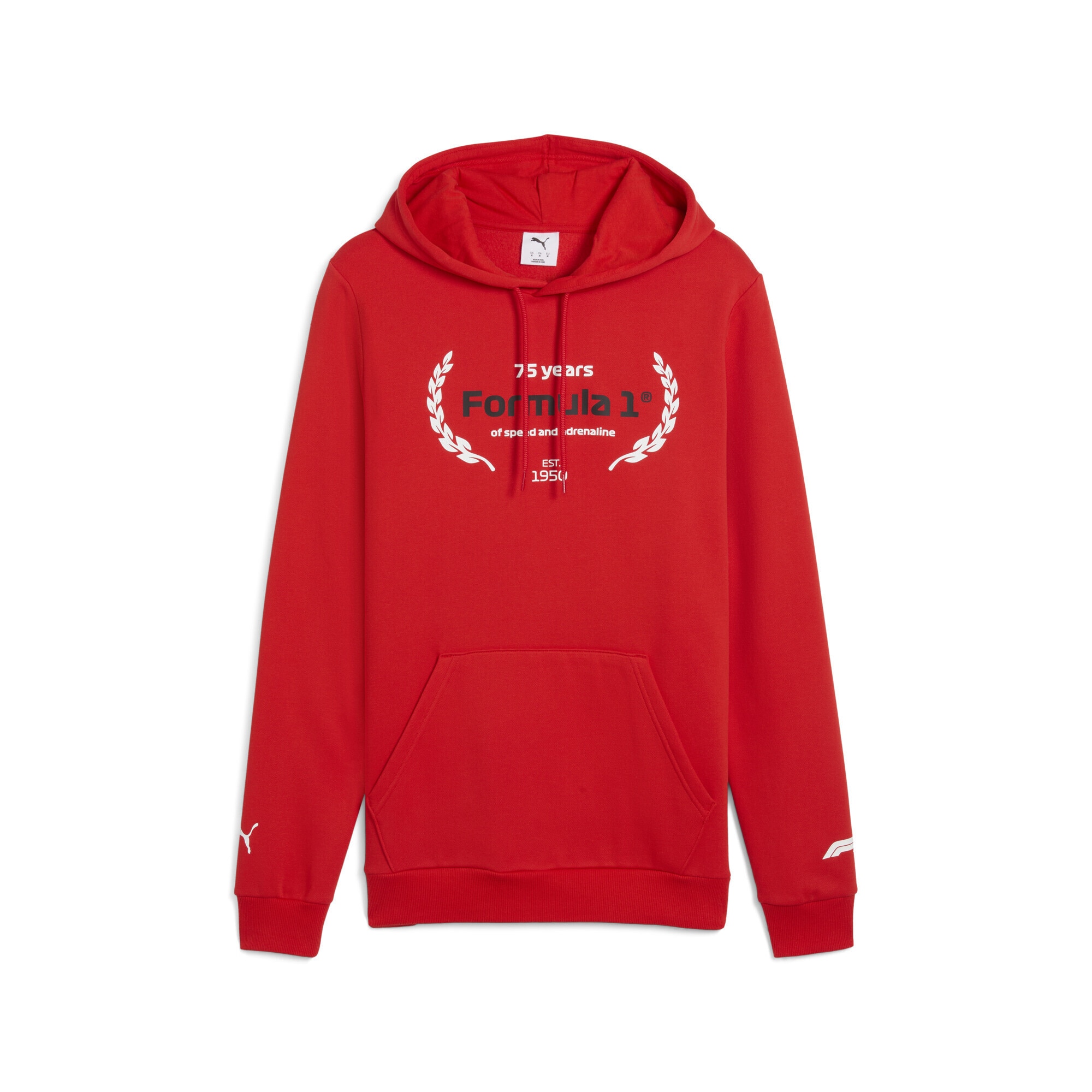 PUMA Hoodie "F1 Essentials Logo Graphic Hoodie Herren" günstig online kaufen