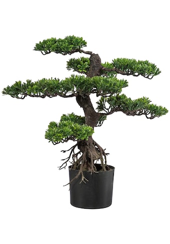 Creativ green Kunstbonsai »Bonsai«