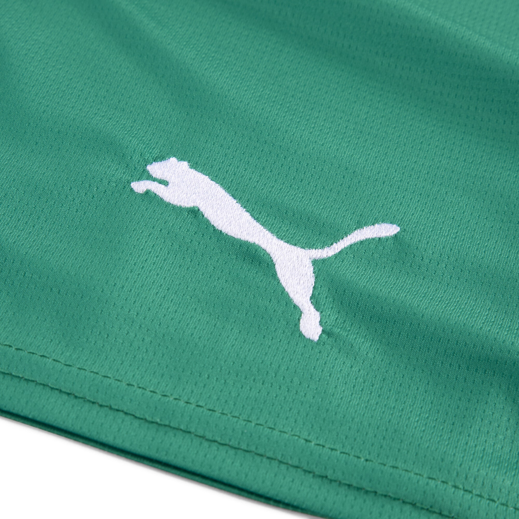 PUMA Sporthose »SK Rapid Wien 25/26 Shorts Herren«