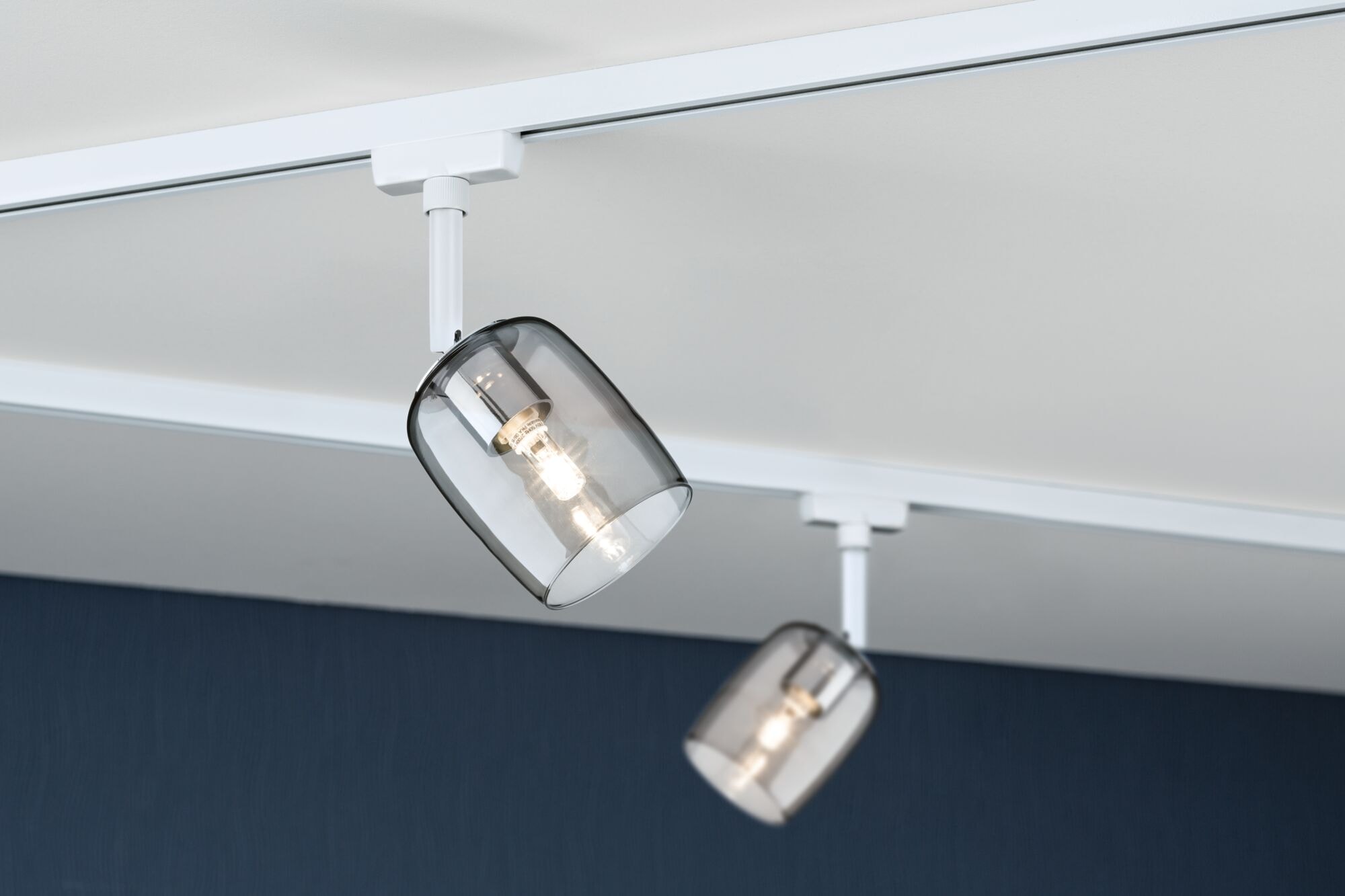 Paulmann Schienensystem-Leuchten »URail Schienenspot Blossom dimmbar Signalweiß, Rauchglas«