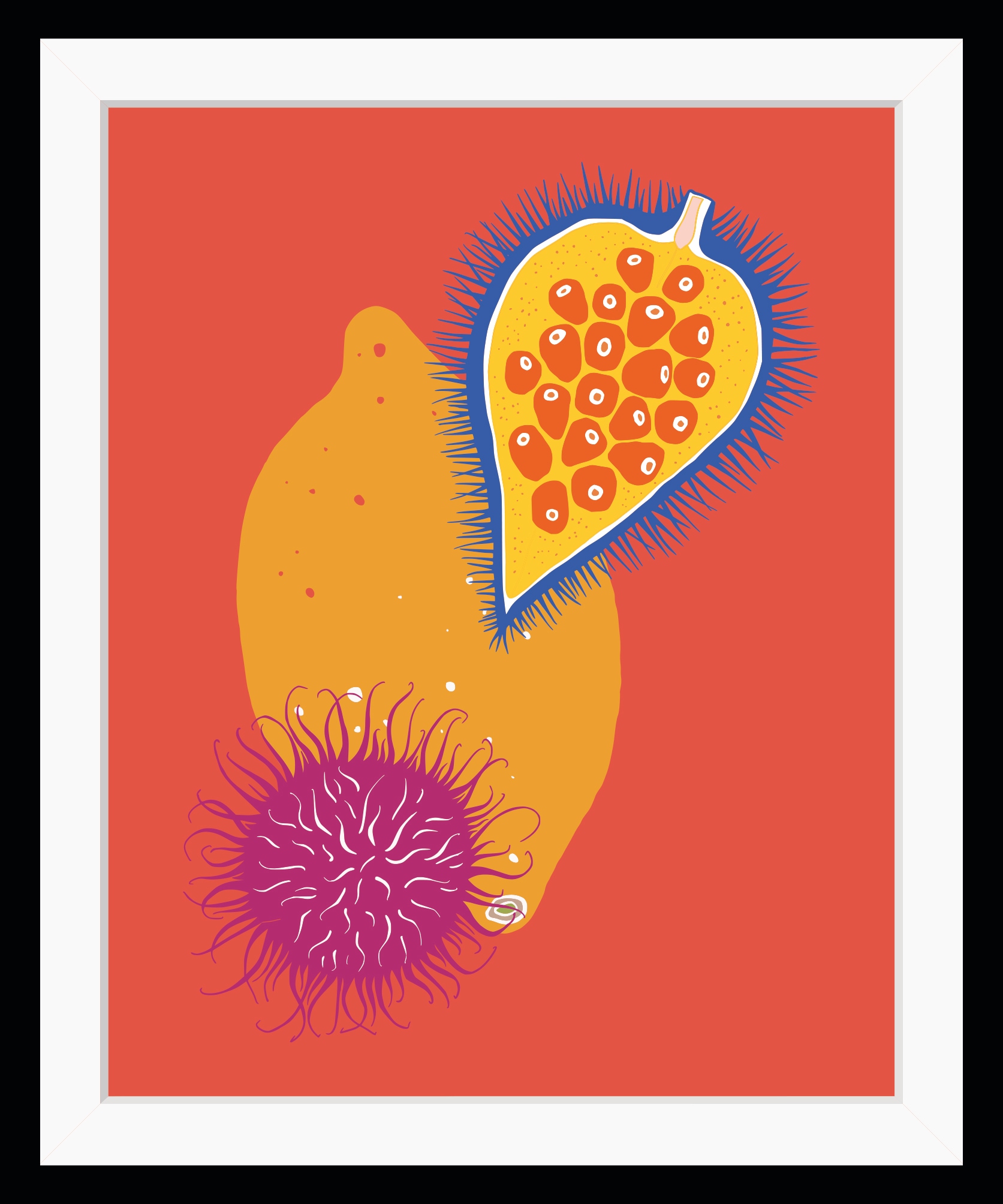queence Bild "Daria" Kunst Lebensmittel Obst Obst Bilder HD Premium Poster-Druck inkl. Holzrahmen