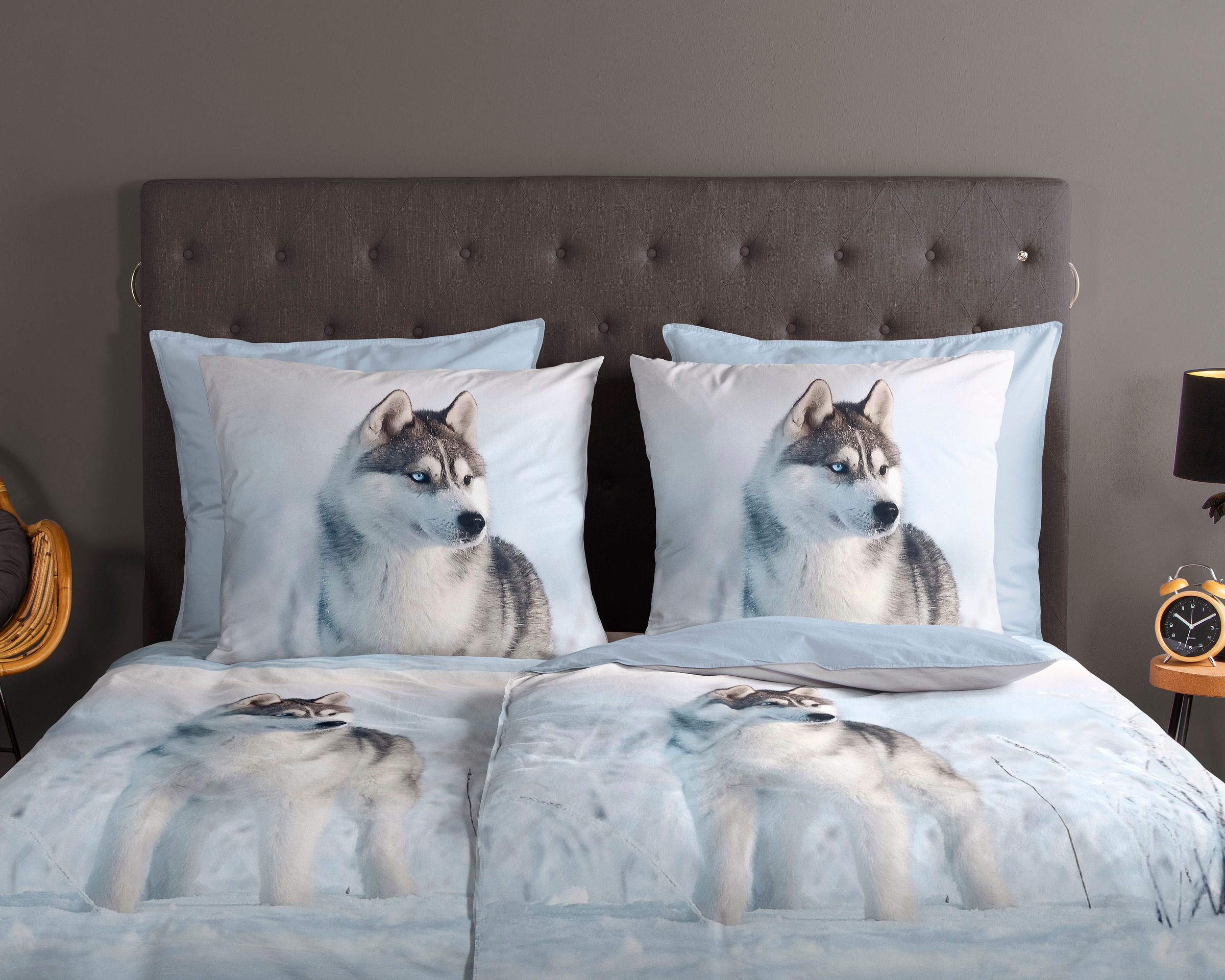 good morning Wendebettwäsche »Sachar«, Baumwolle, 135x200, Reißverschluss, Wendeoptik, Winter, Husky, Blau