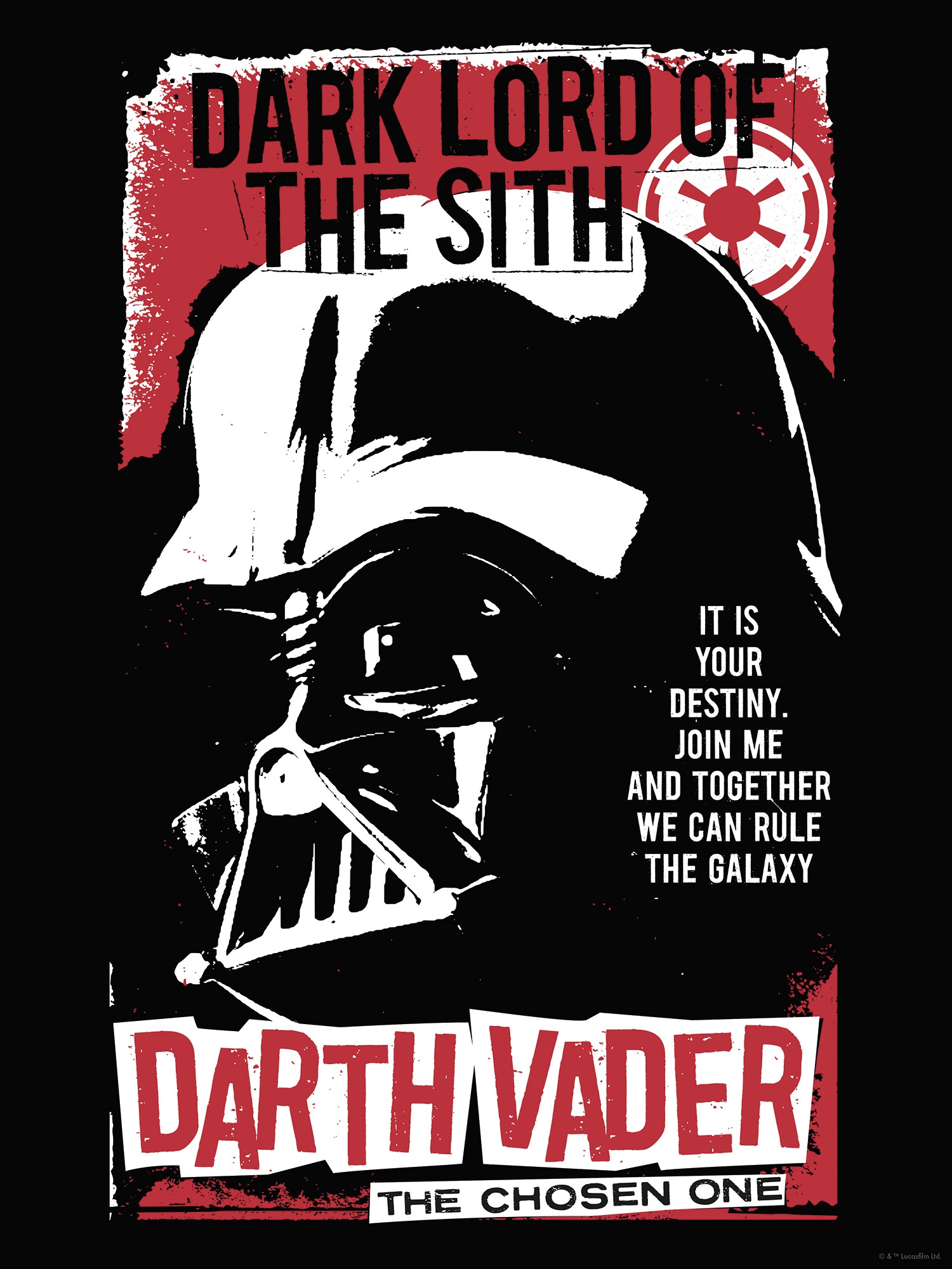 Komar Wandbild »Star Wars Darth Vader The Chosen One«, Disney, (Set, 1 St.), 30 x 40 cm (Breite x Höhe) - Kinderzimmer, Dekoration