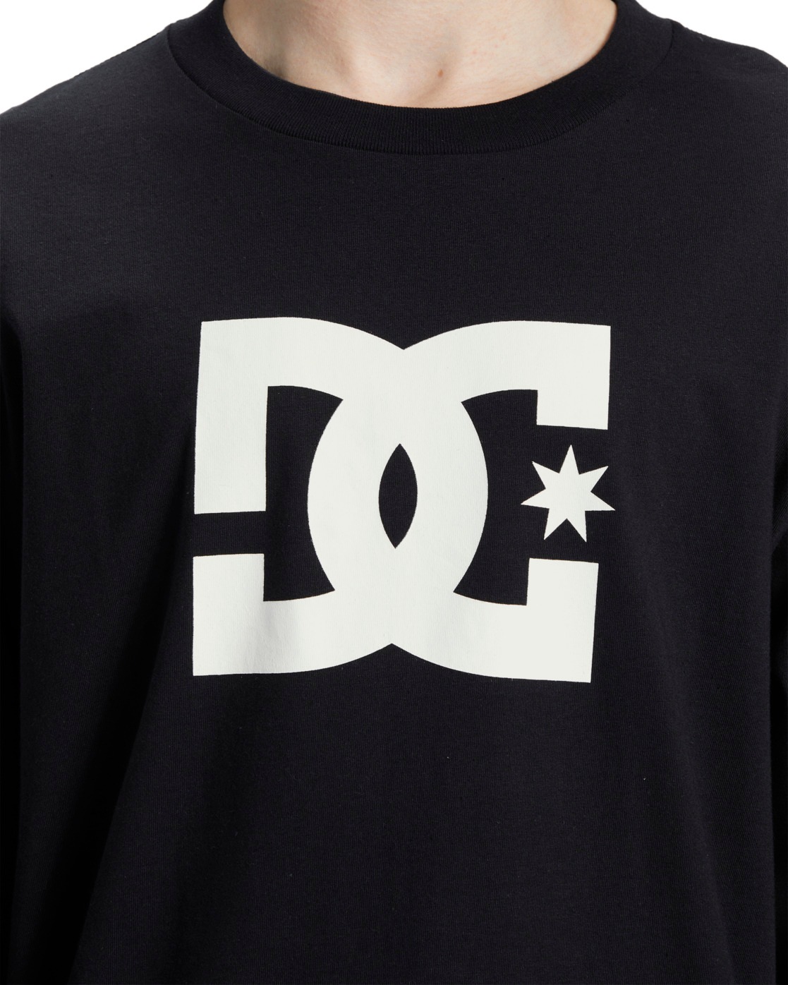 DC Shoes Langarmshirt »DC Star Hls«