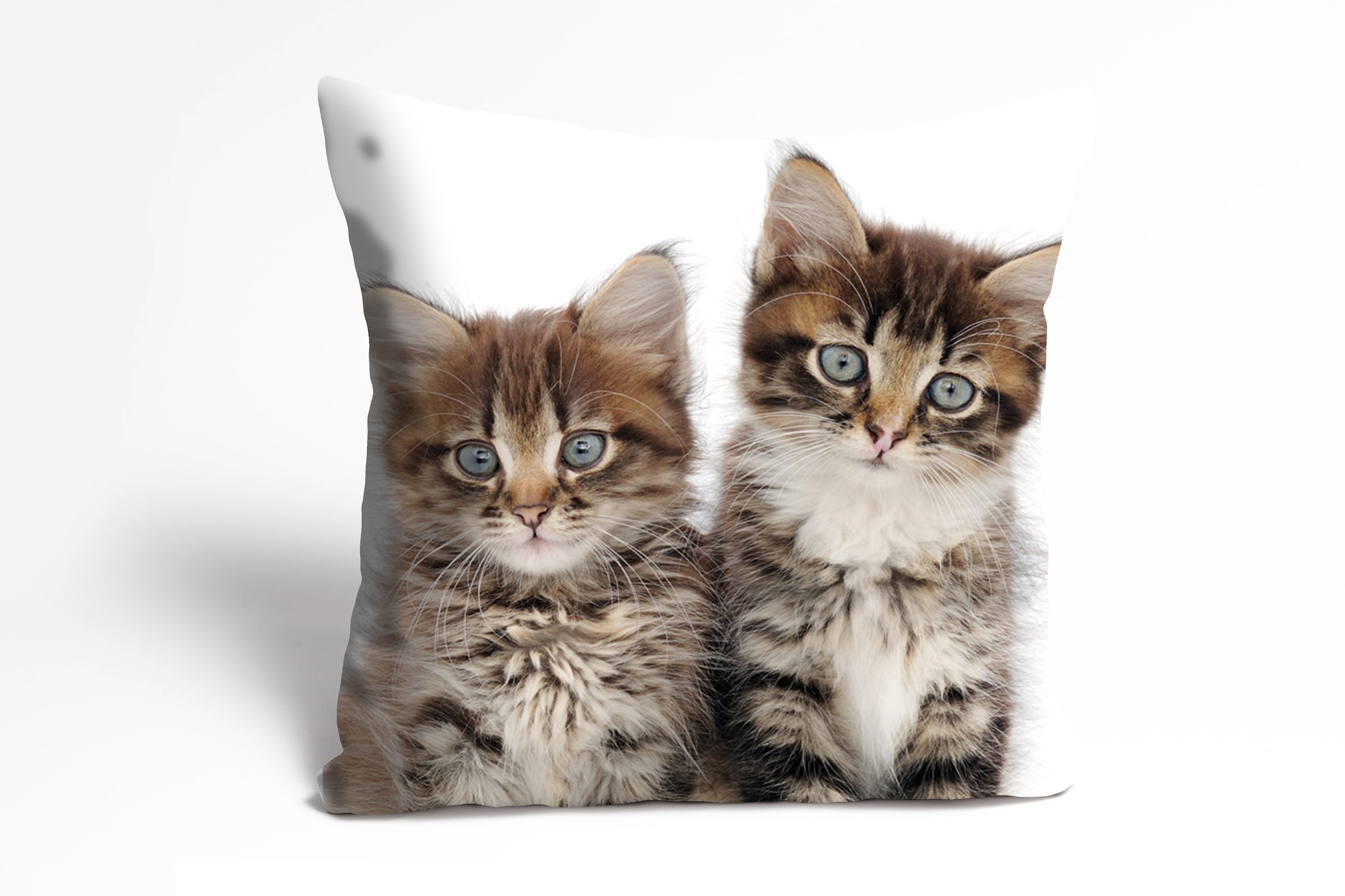 queence Dekokissen "Patrick" Kissenhülle,Katzen,Tiermotiv,Niedlich,Verspiel günstig online kaufen