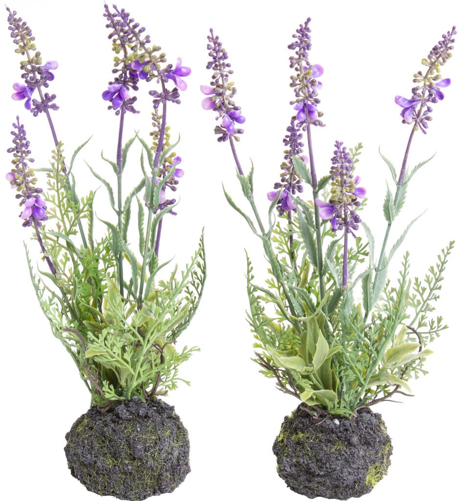 Botanic-Haus Künstliche Zimmerpflanze "Lavendel" günstig online kaufen