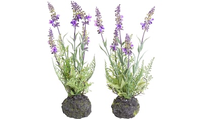Künstliche Zimmerpflanze »Lavendel«