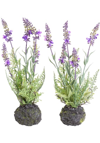 Botanic-Haus Künstliche Zimmerpflanze »Lavendel«