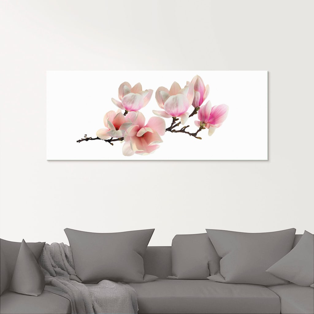 Artland Glasbild »Magnolie«, Blumen, (1 St.)