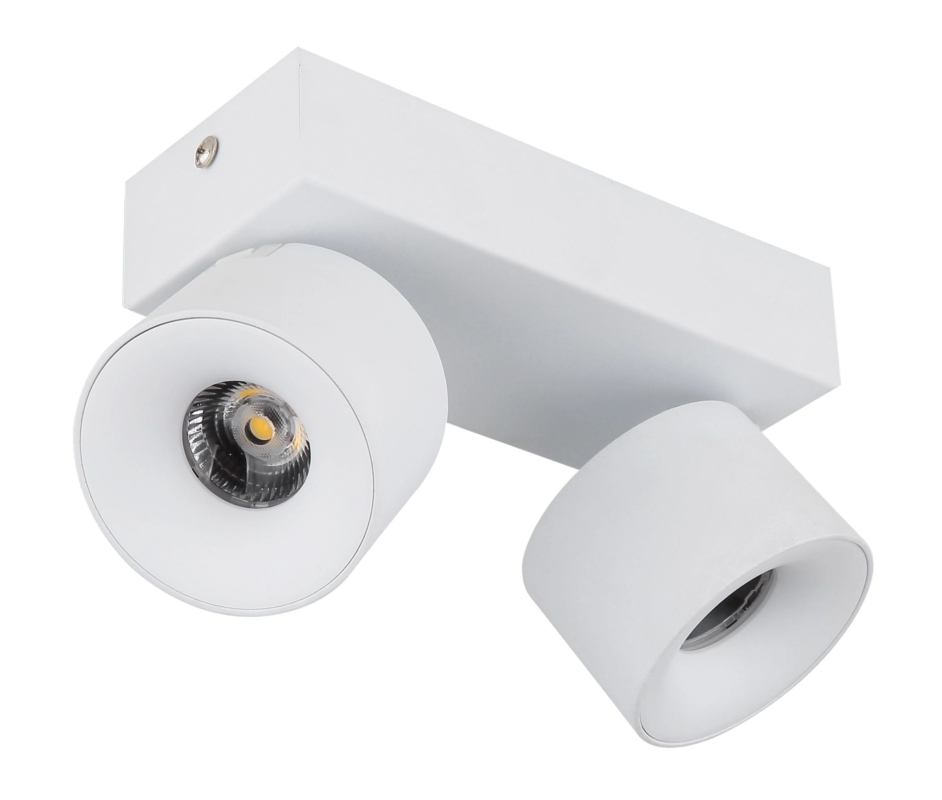 GLOBO LIGHTING LED Deckenstrahler »RAE« 2 flammig lem...