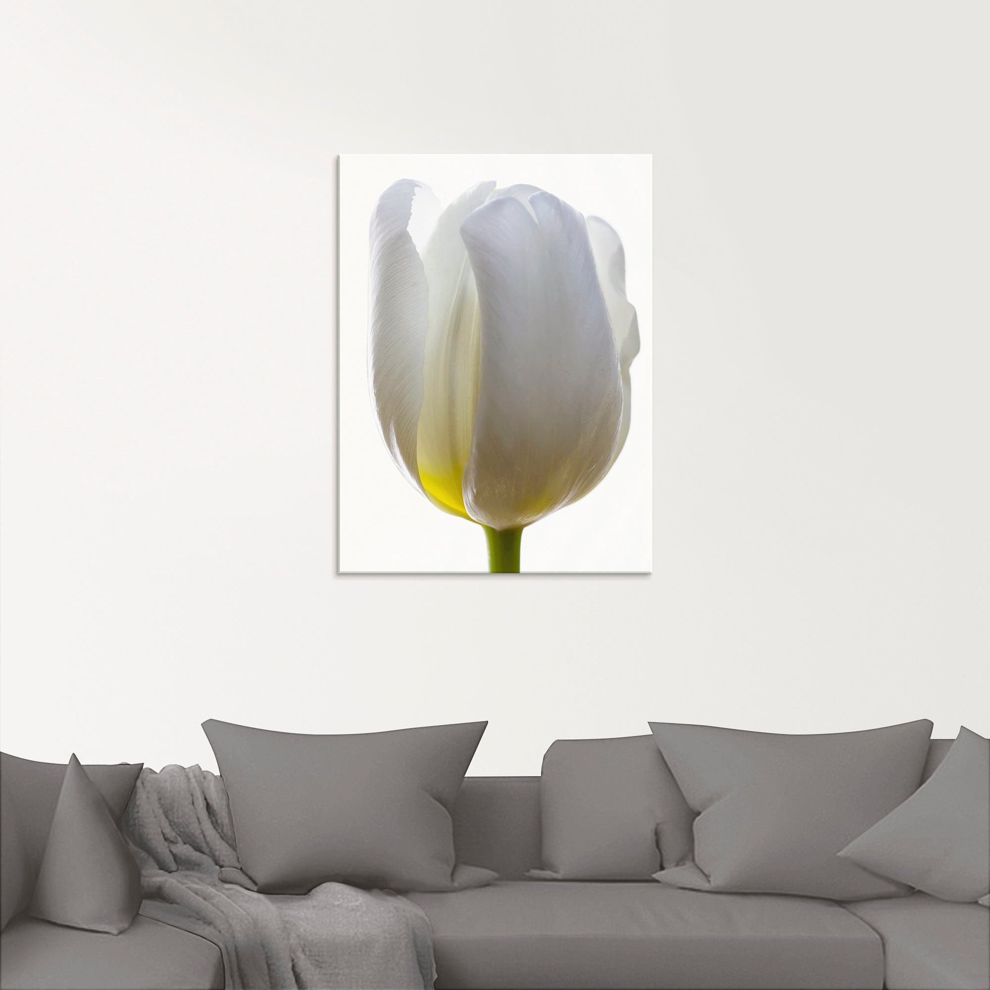 Artland Glasbild »Weiße Tulpe«, Blumen, (1 St.), in verschiedenen Größen