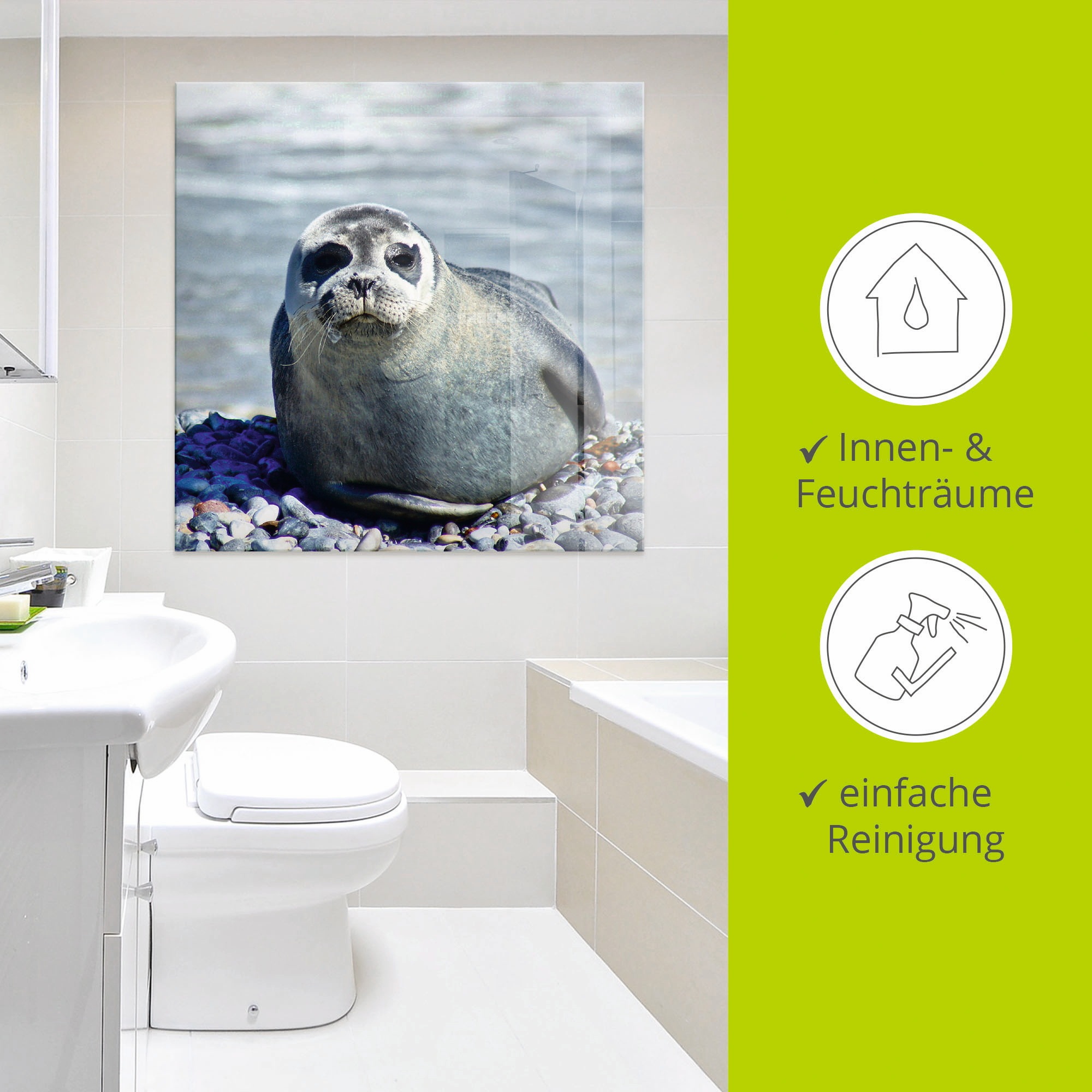 Artland Glasbild »Robbe am Strand von Helgoland«, Wassertiere, (1 St.), in verschiedenen Größen
