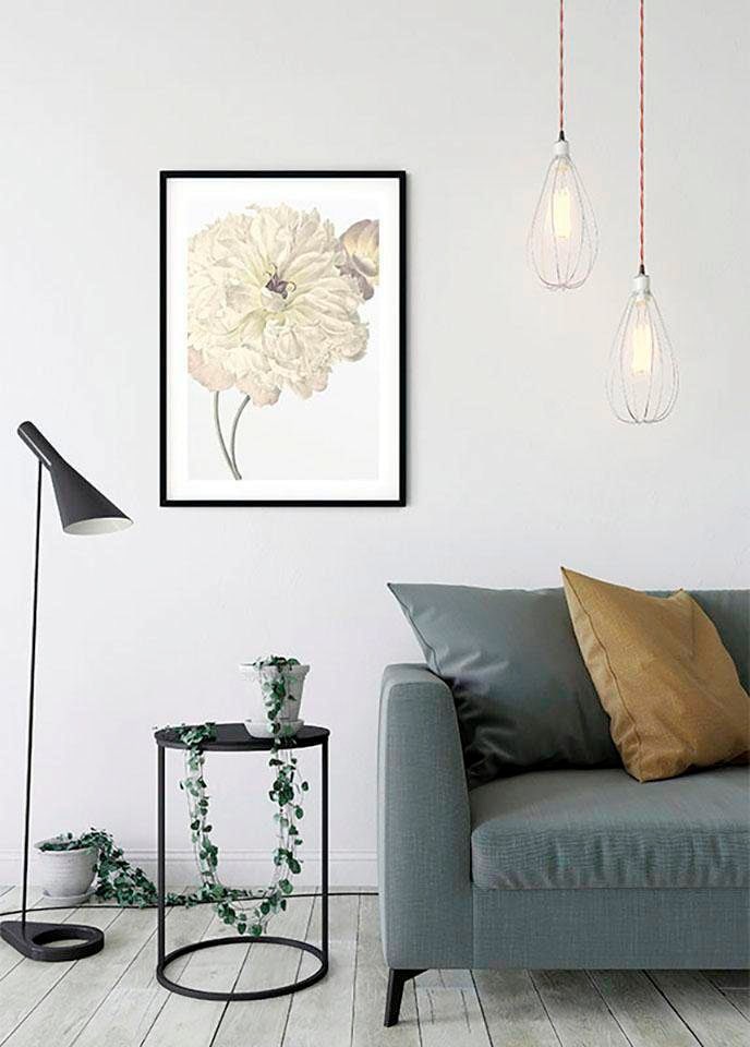 Komar Bild »Illustration Dahlia« Blumen 1 Stk. tlg. Wandbild zur Dekoration - ohne Rahmen