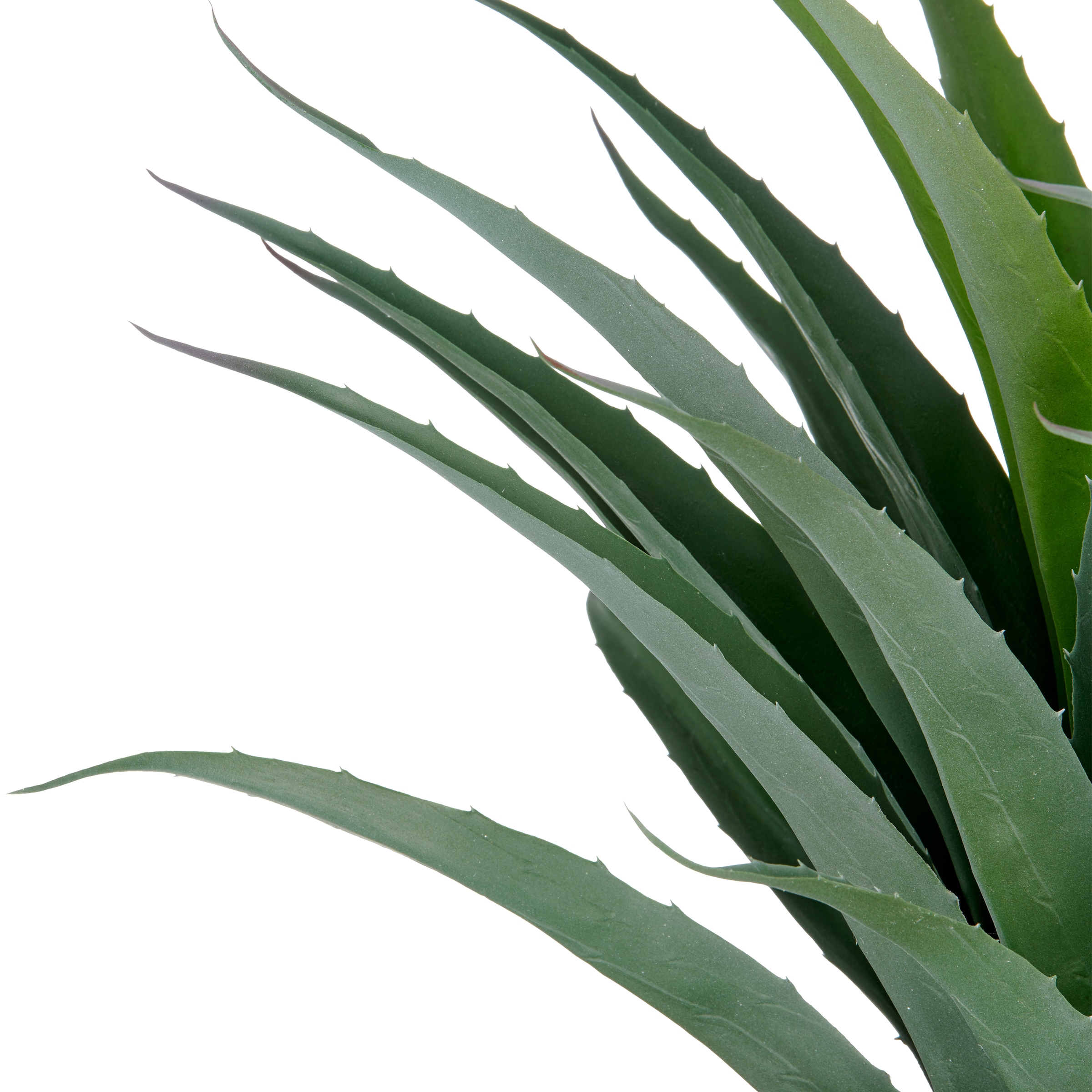 Creativ green Kunstpflanze »Agave«, in UV-beständiger Ausführung