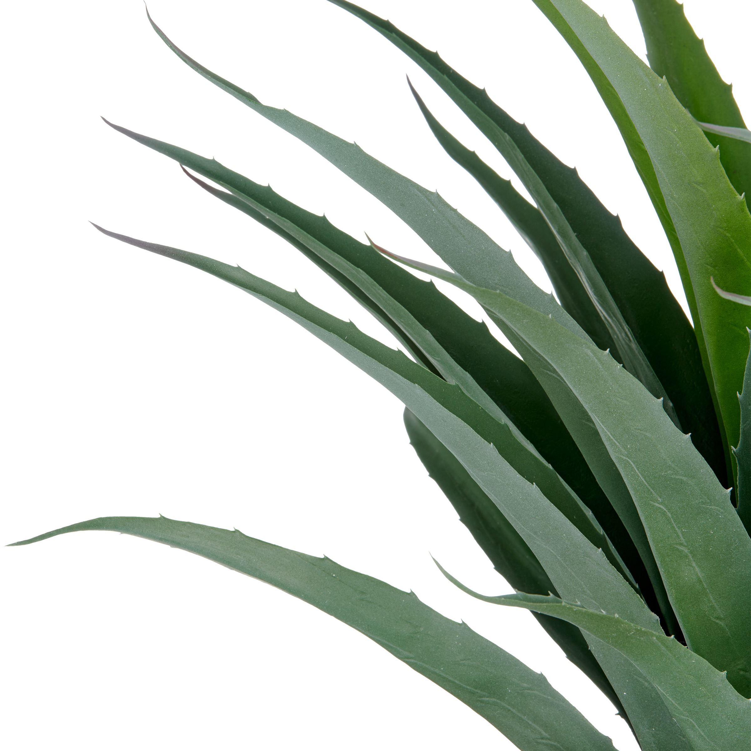 Creativ green Kunstpflanze "Agave", in UV-beständiger Ausführung günstig online kaufen