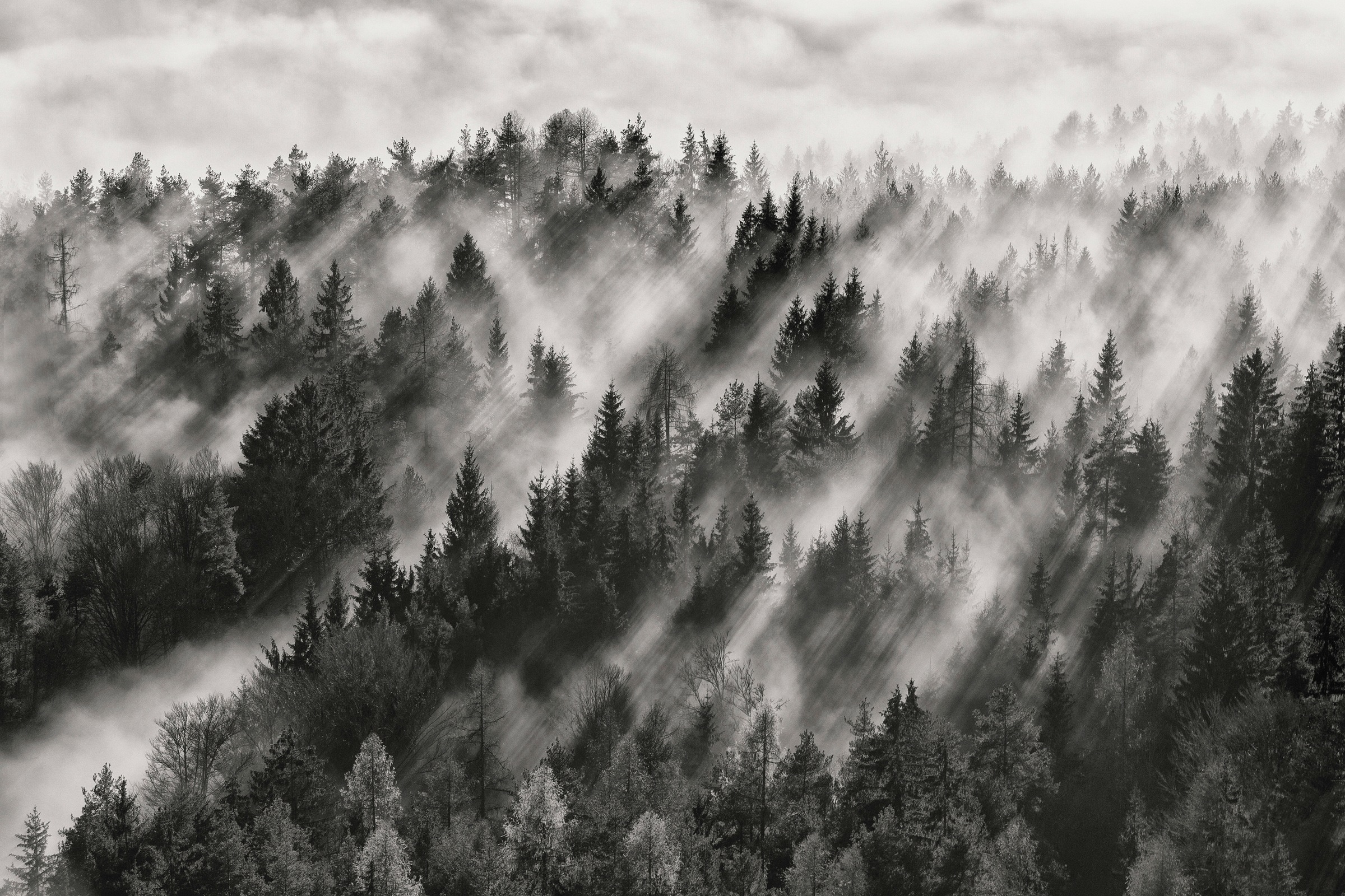 Papermoon Fototapete "Photo-Art DAVORIN BALOH, SUNDANCE NR1"