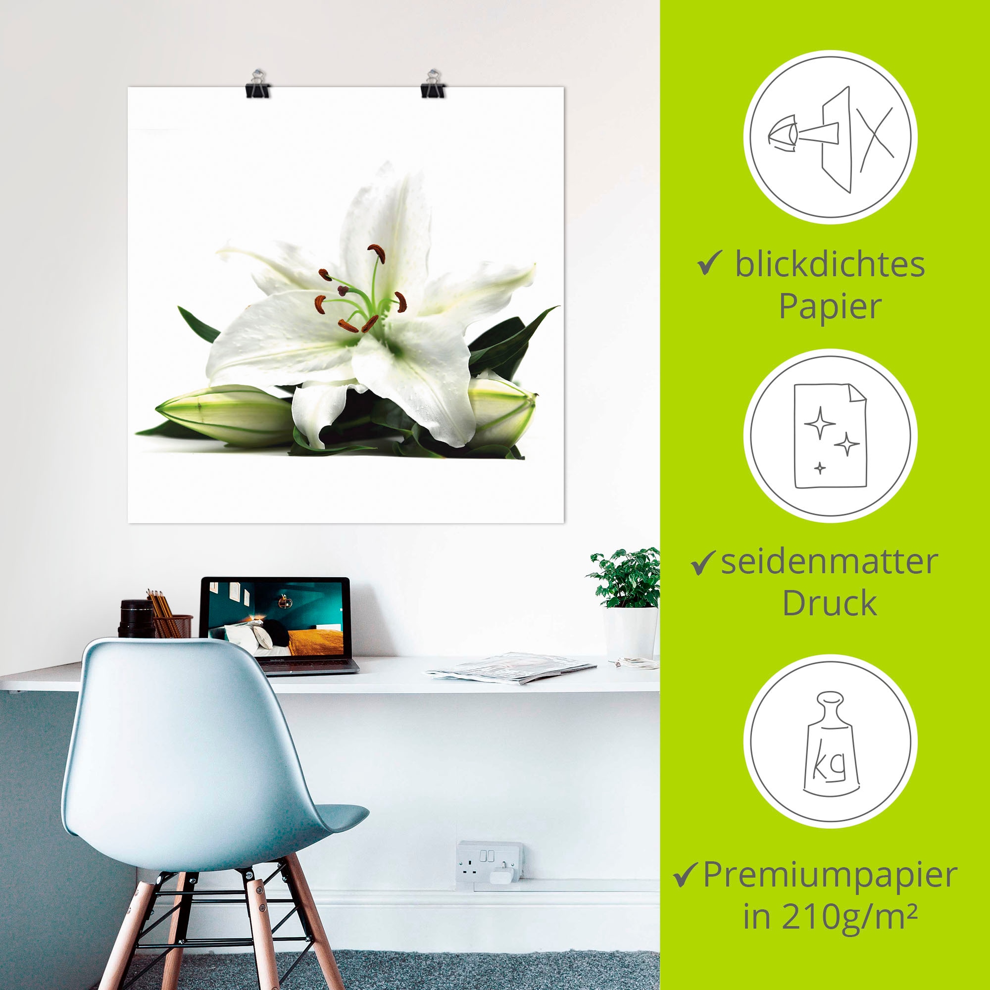 Artland Wandbild »Große Lilie«, Blumen, (1 St.), als Leinwandbild, Poster in verschied. Größen