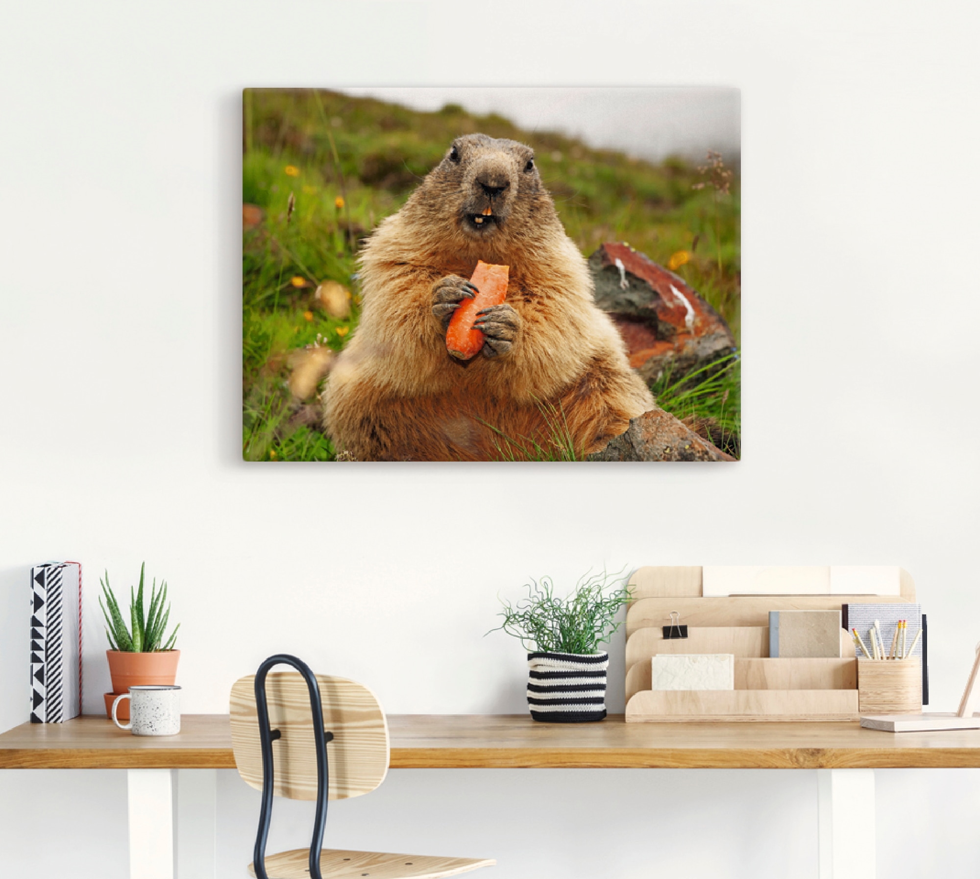 Artland Wandbild »Murmeltier«, Wildtiere, (1 St.), als Leinwandbild, Poster in verschied. Größen