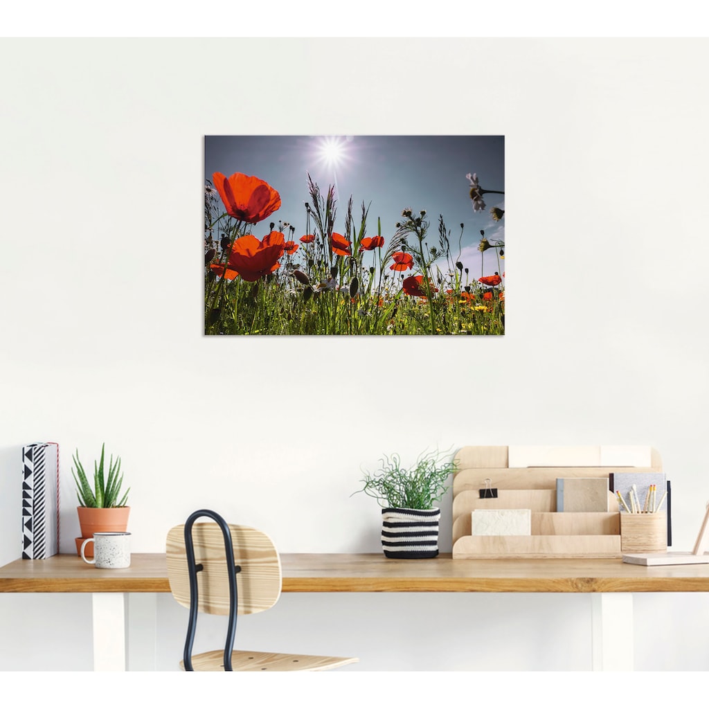 Artland Wandbild »Mohnblumenwiese«, Blumenwiese, (1 St.)