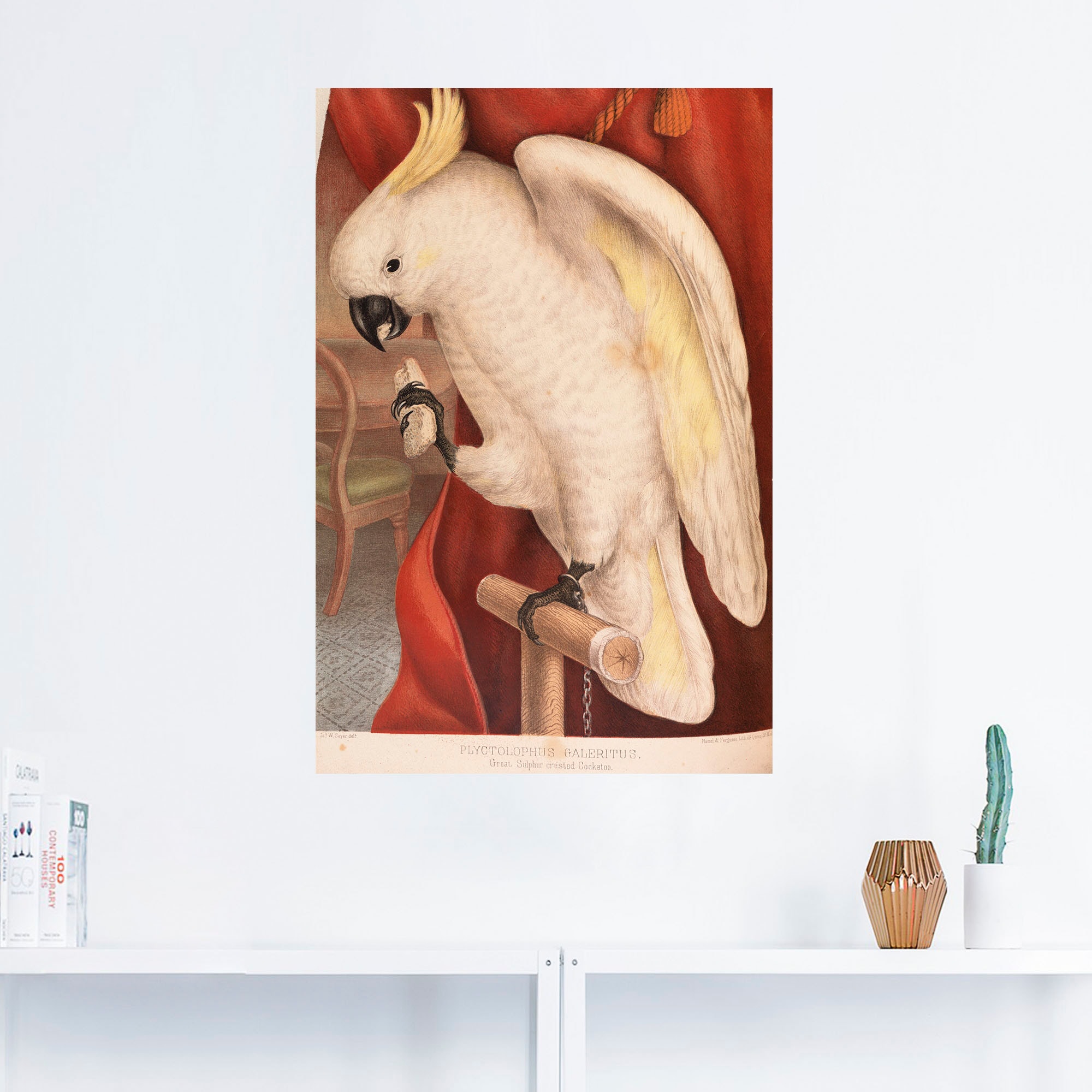 Artland Wandfolie »Großer Gelbhaubenkakadu«, Vogelbilder, (1 St.), selbstklebend