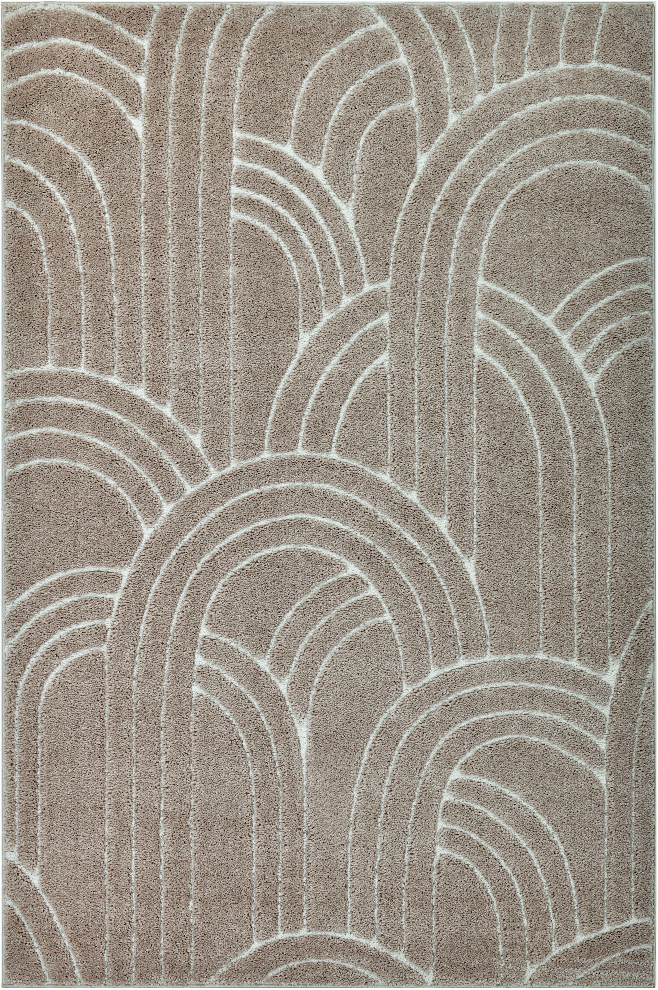 my home Teppich "Cadie" rechteckig 20 mm Höhe modernes Design, weicher Flor günstig online kaufen