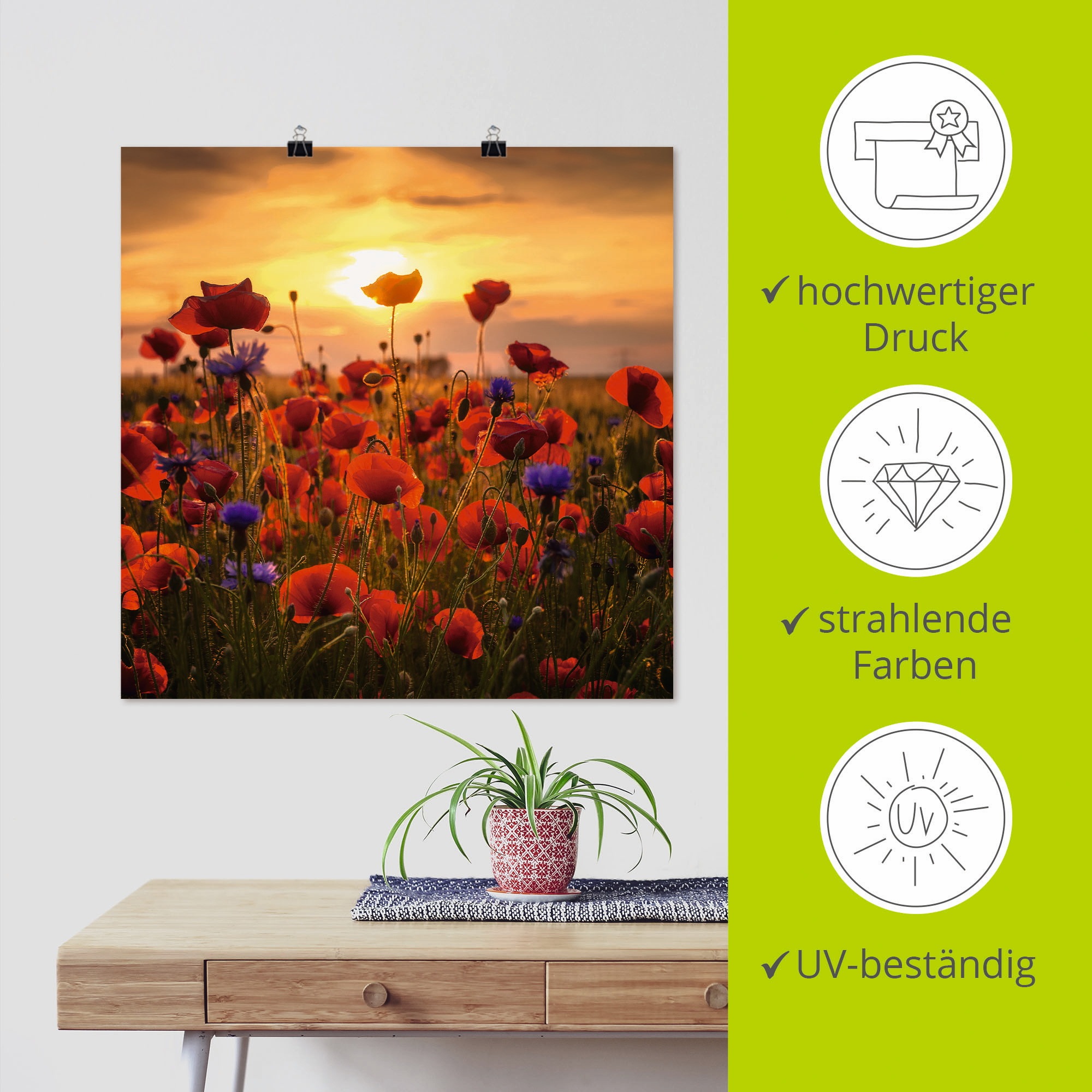 Artland Wandbild »Mohnblumen im Abendlicht«, Blumen, (1 St.), als Alubild, Outdoorbild, Leinwandbild, Poster, Wandaufkleber