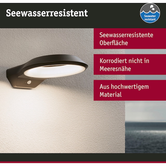 Paulmann LED Außen-Wandleuchte »Anela 230V«, 1 flammig-flammig,  insektenfreundlich | BAUR