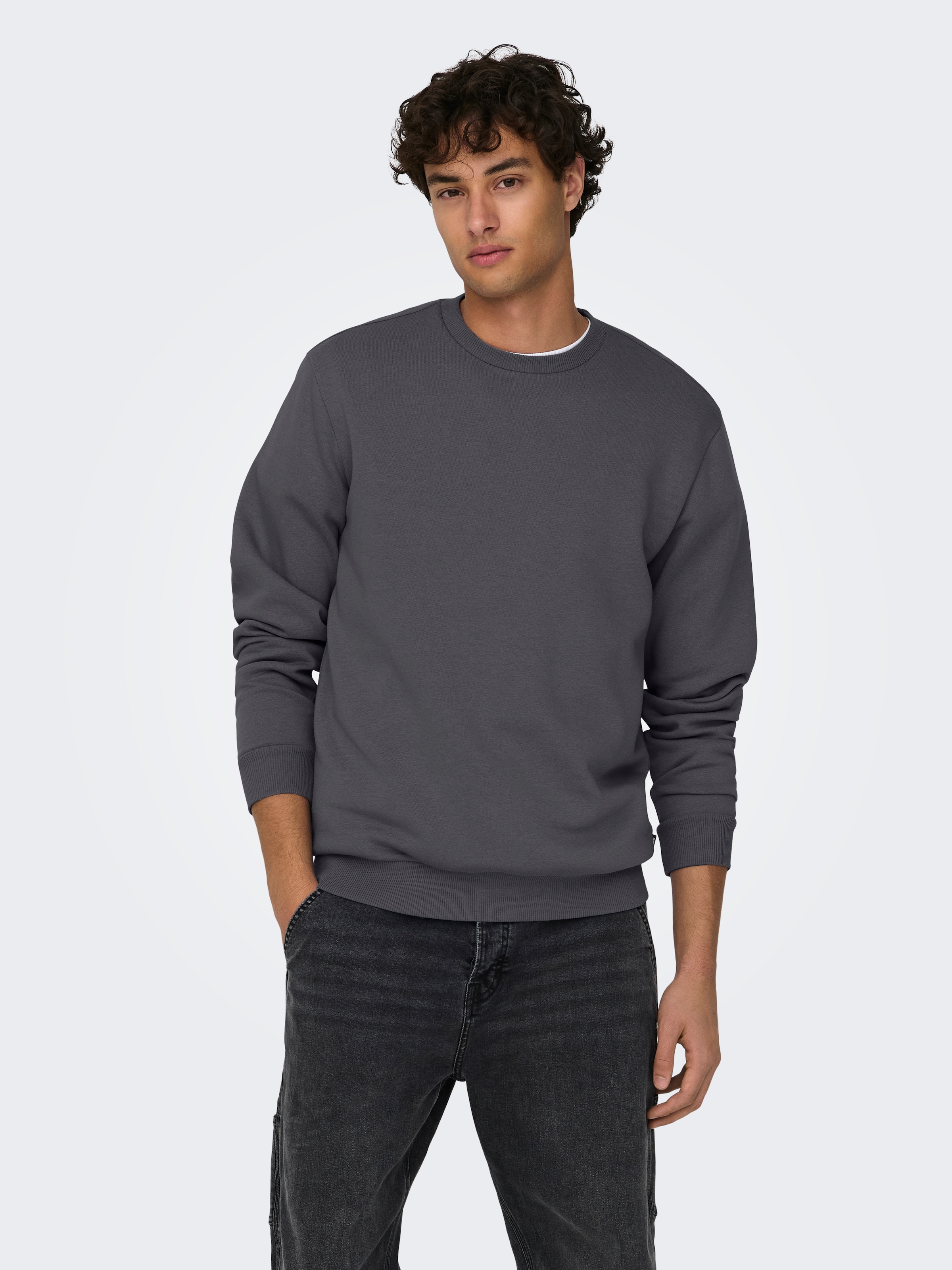 ONLY & SONS Sweatshirt "ONSCERES CREW NECK NOOS", Baumwollmischung, regular günstig online kaufen