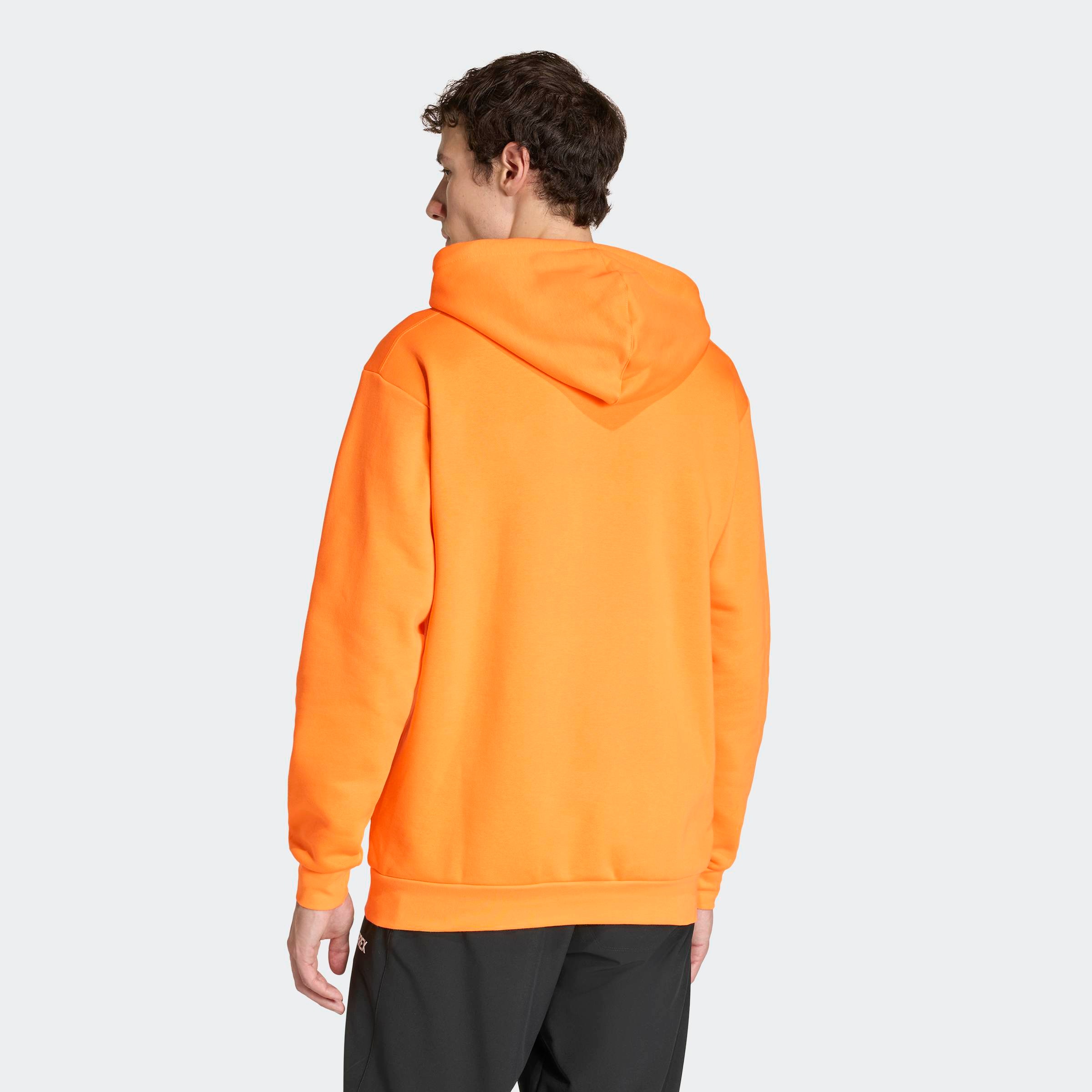 adidas TERREX Kapuzensweatshirt "MT L LOGO HD" günstig online kaufen