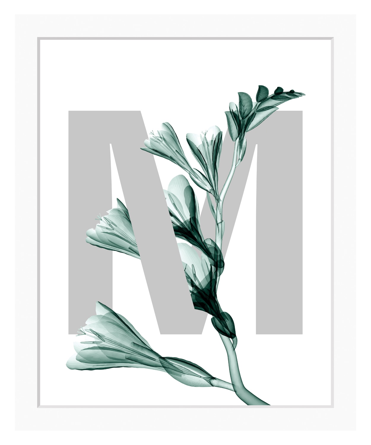 queence Bild "M-Flower", Buchstaben, Blume, gerahmt, Blätter