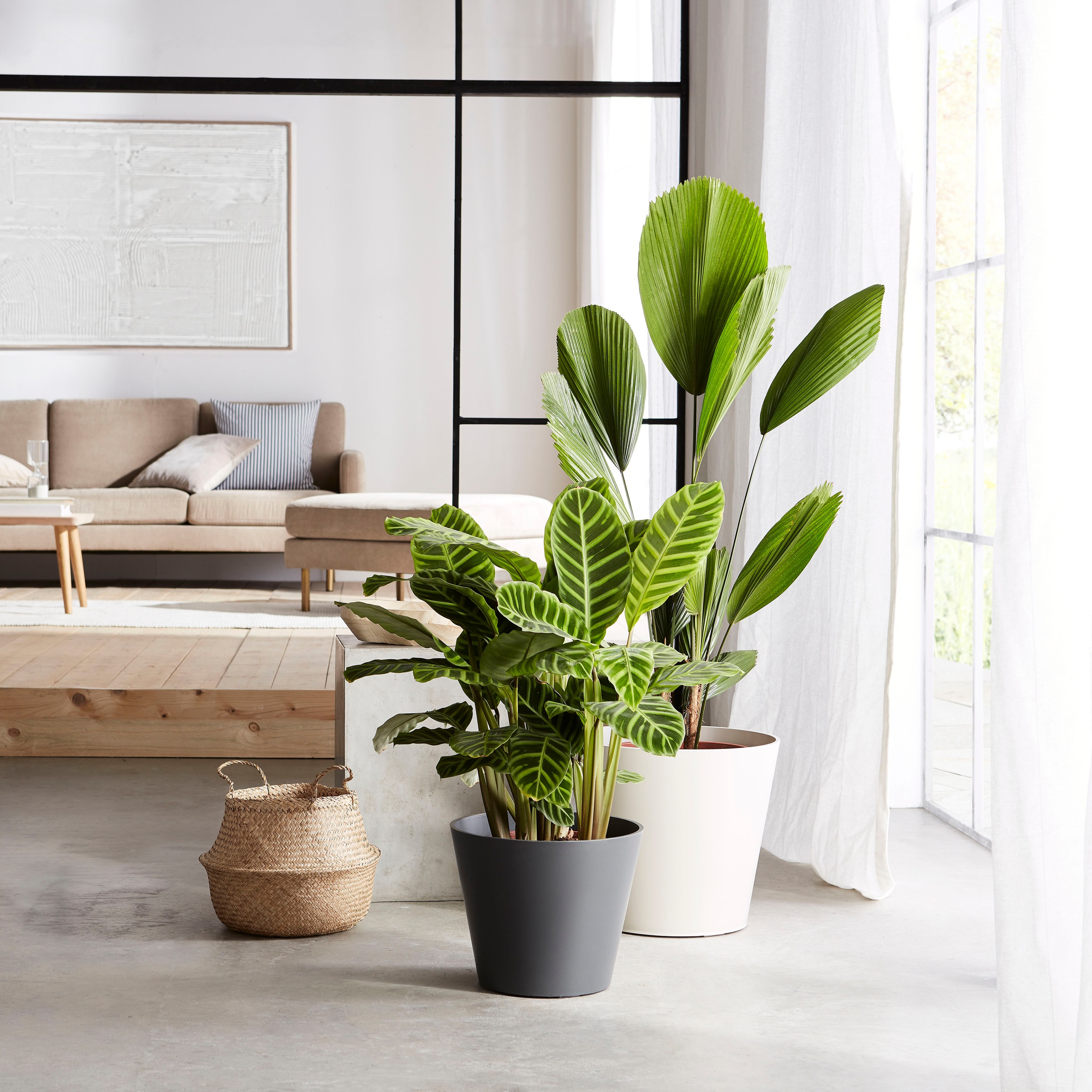 Scheurich Blumentopf »40/226«