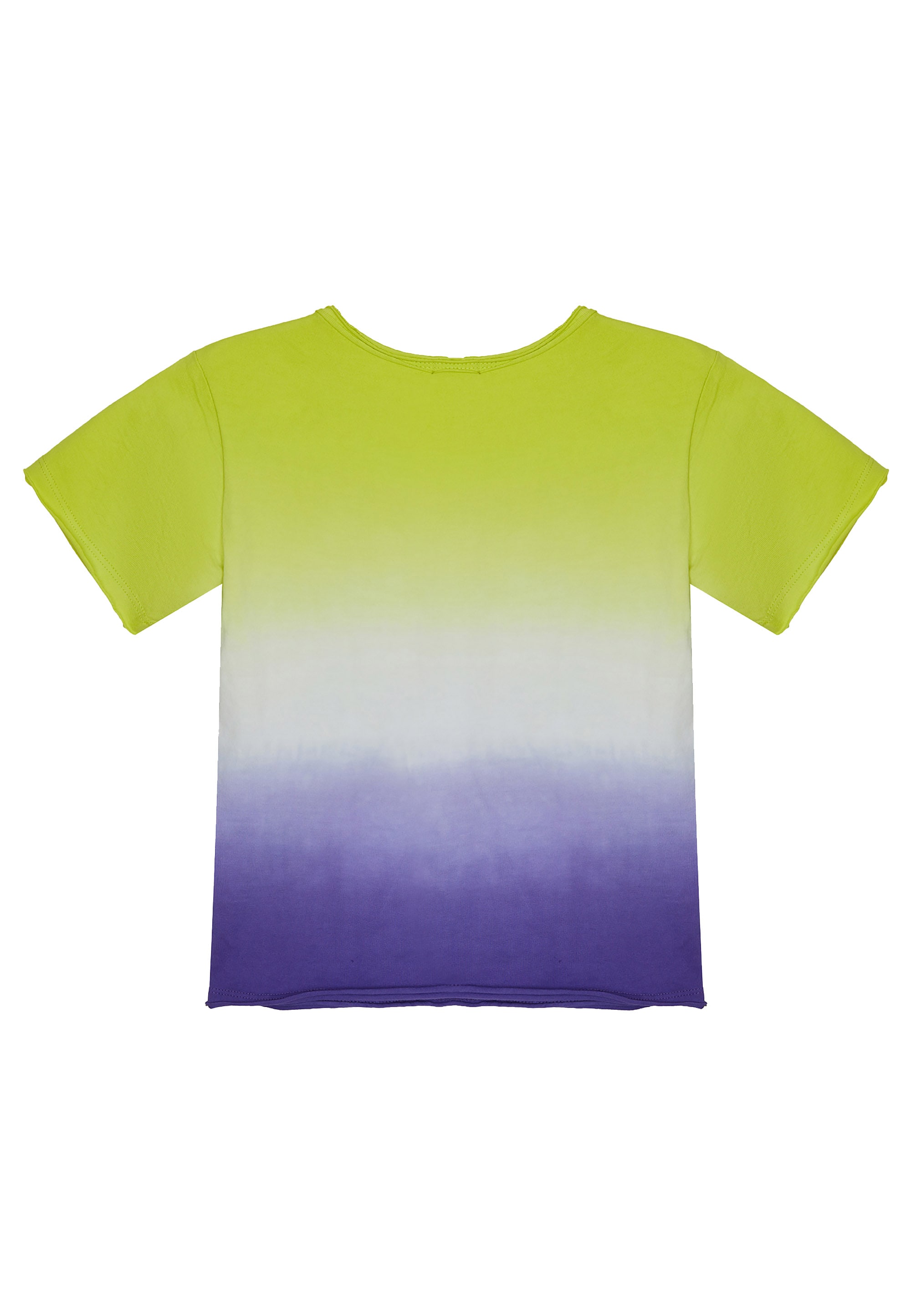 Gulliver T-Shirt, mit Gradient-Print online | BAUR bestellen