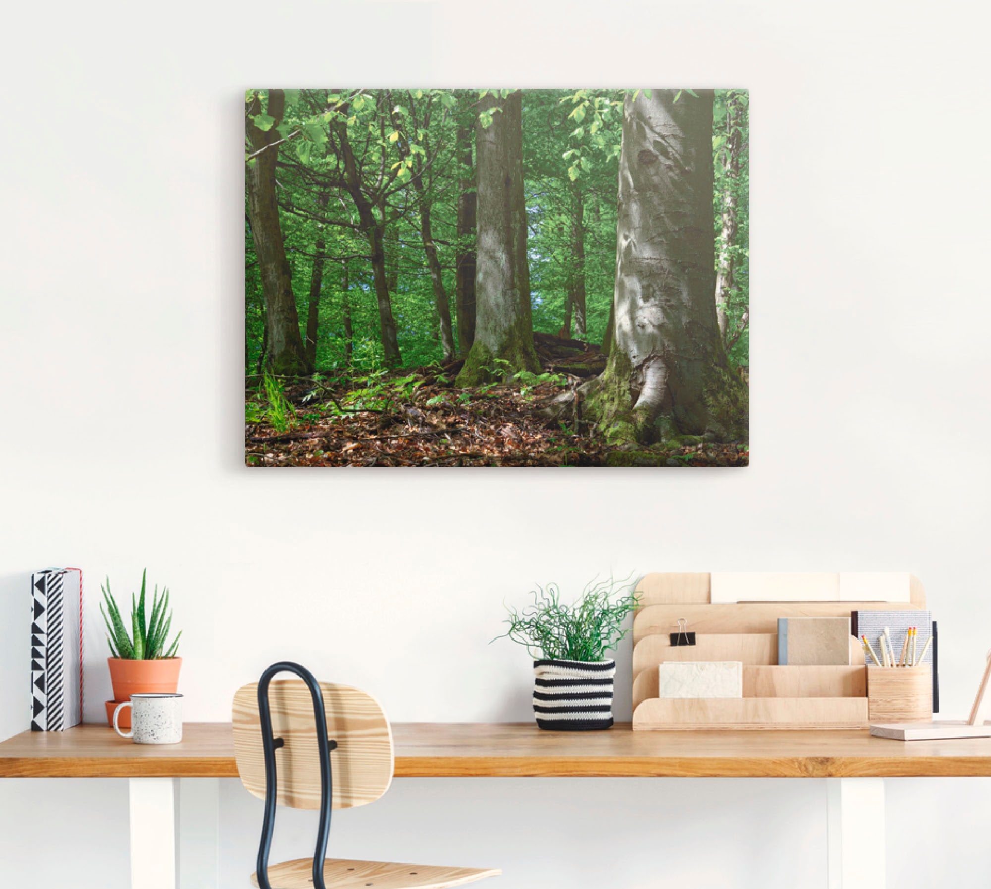 Artland Leinwandbild »Frühling im Buchenwald«, Wald, (1 St.), auf Keilrahmen gespannt