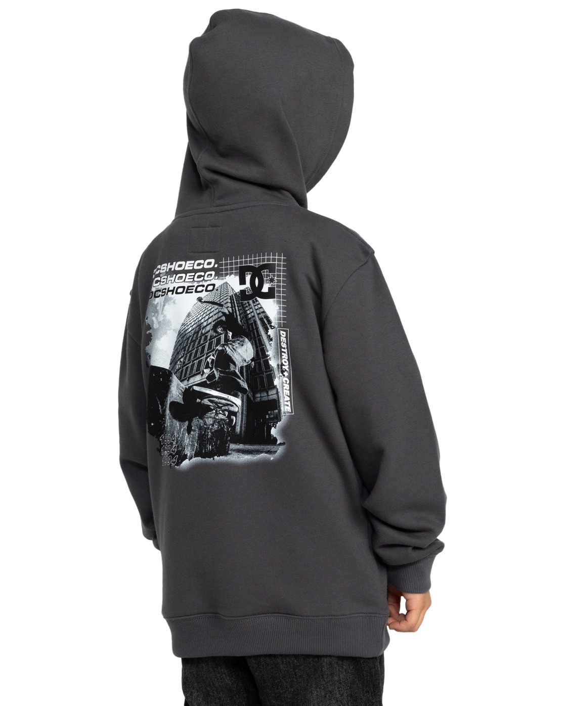 DC Shoes Hoodie »Whereabouts«