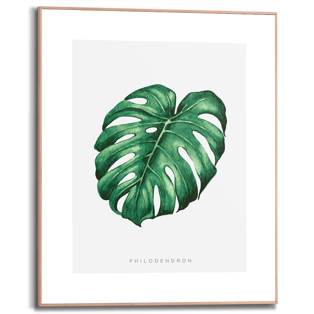 Reinders! Bild mit Rahmen »Monstera Leaf«, (1 St.)