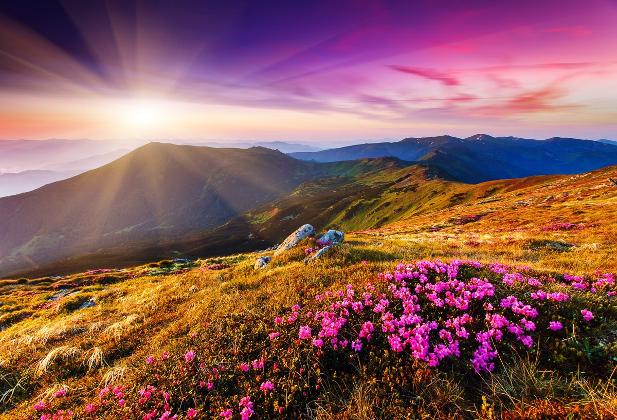 Papermoon Fototapete "Karpaten"