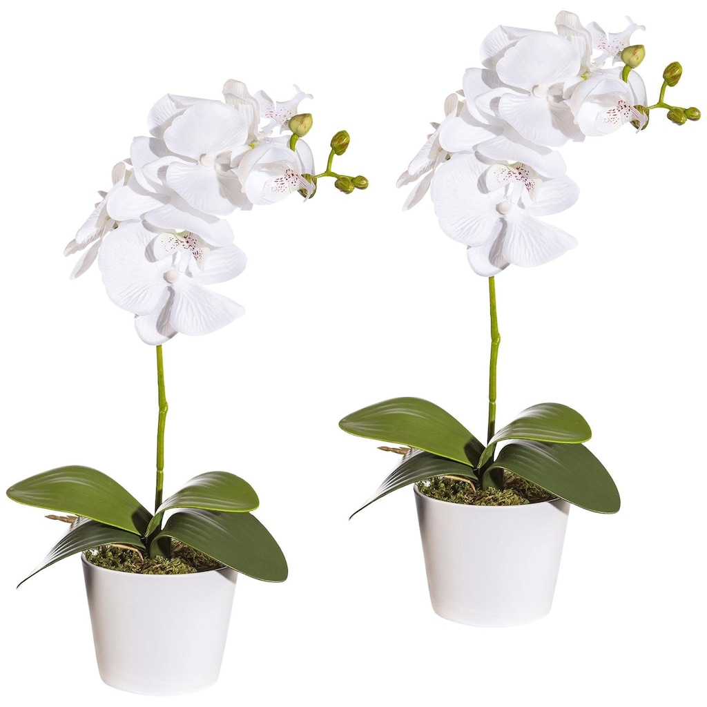 Creativ green Kunstpflanze »Orchidee Phalaenopsis«, im Keramiktopf