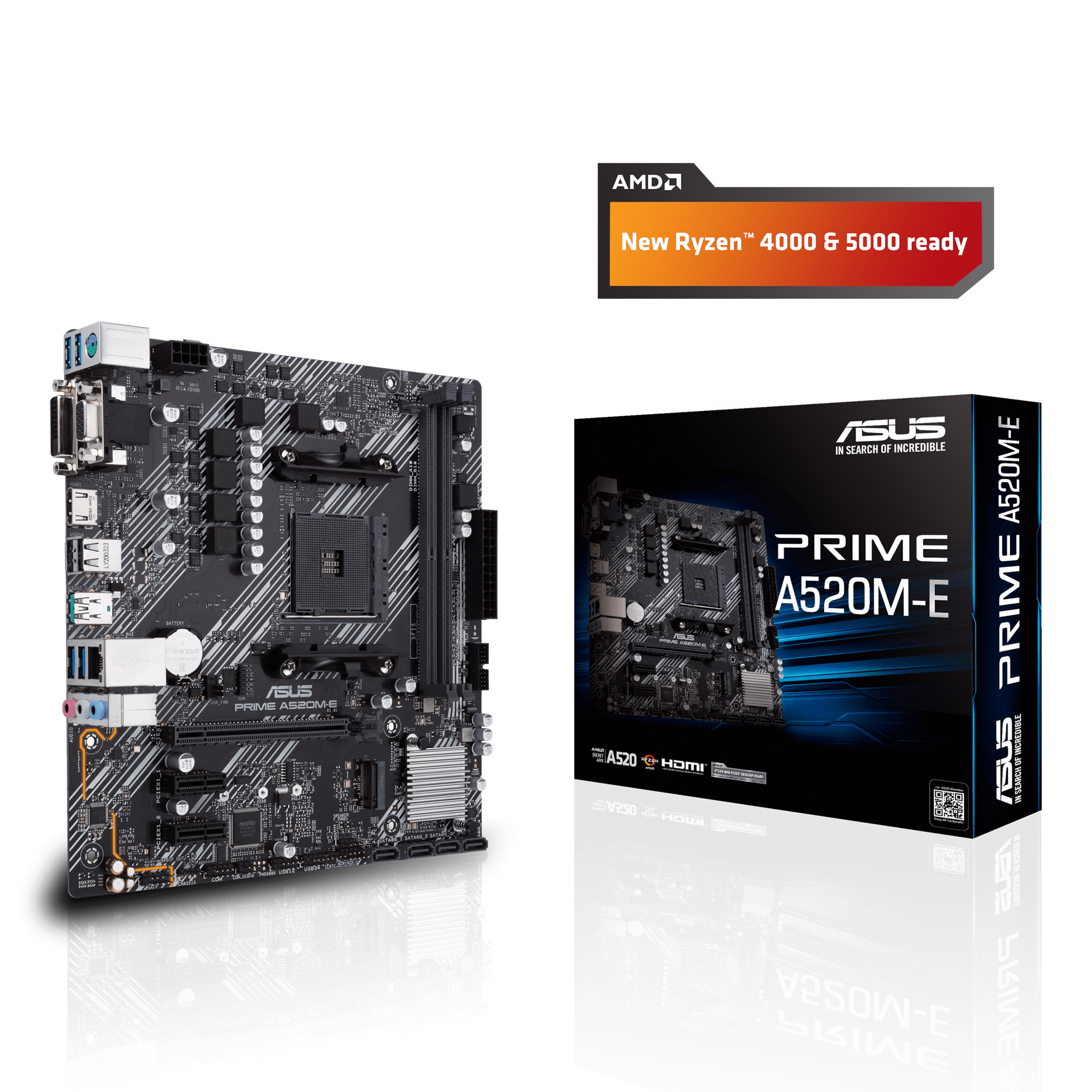 Asus Mainboard »PRIME A520M-E« kaufen