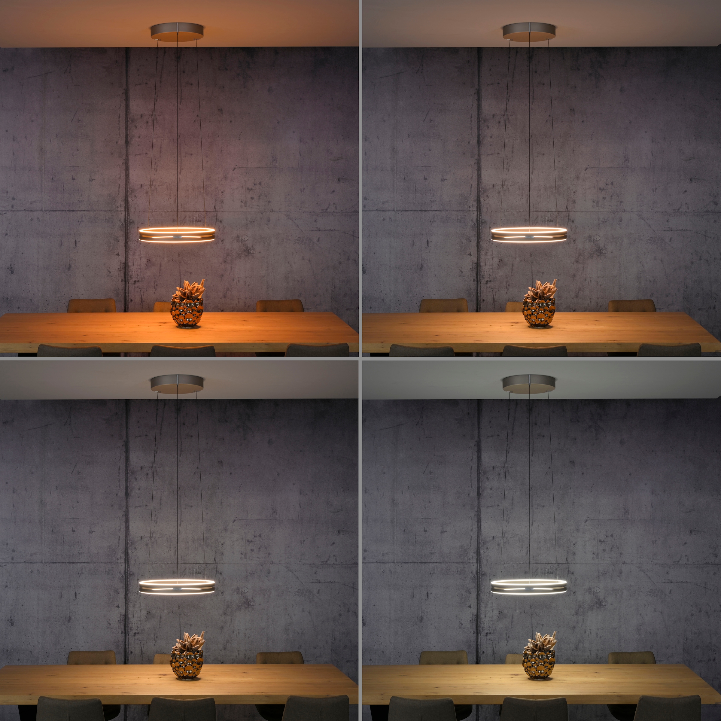 Neuhaus PURE LED Pendelleuchte »PURE E-Loop« LED-Board 1 Stk. warmweiß - kaltweiß e-LIFT® Funktion, CCT, dimmbar über Fernbedienung