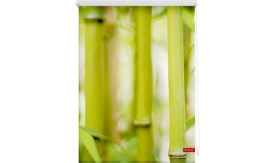 LICHTBLICK ORIGINAL Seitenzugrollo »Klemmfix Motiv Bambus«, Lichtschutz, ohne Bohren,... kaufen