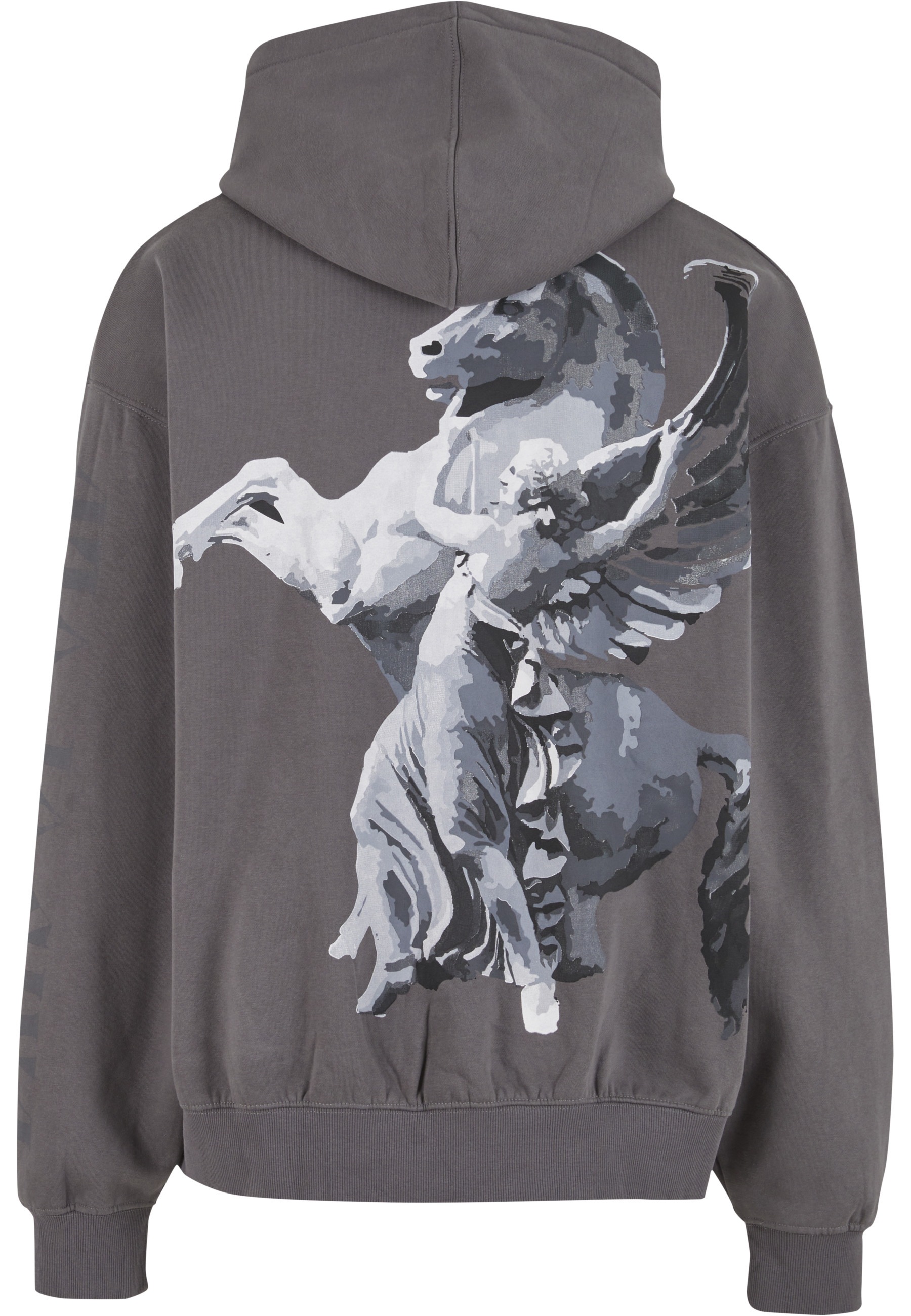 DEF Kapuzenpullover "DEF DEF Horse Hoodie" 1 Stk. günstig online kaufen