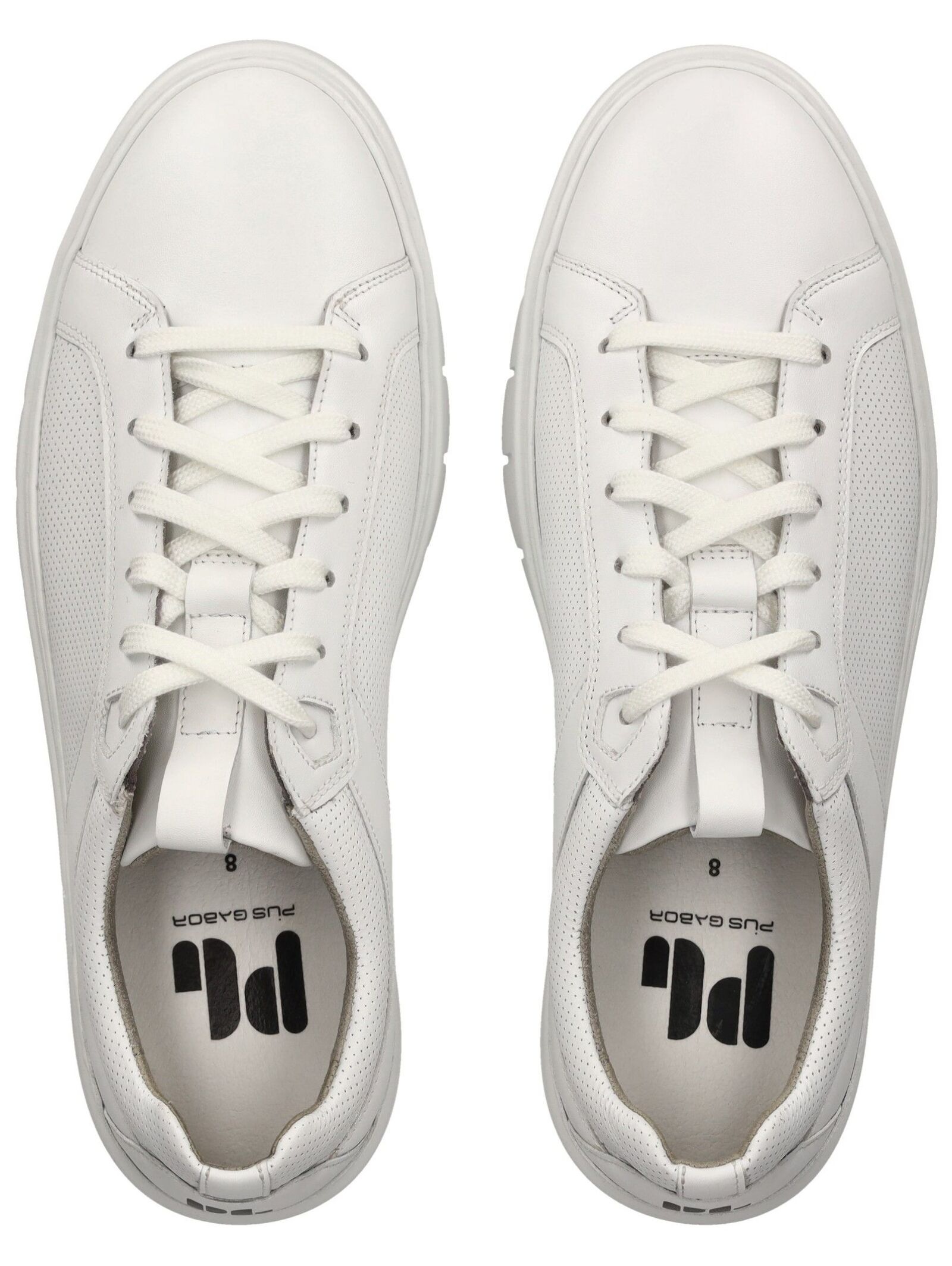 Pius Gabor Sneaker »Pius Gabor Sneaker Leder«
