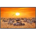 Papermoon Infrarotheizung »Afrikanische Antilopen und Zebras«, sehr angenehme Strahlungswärme