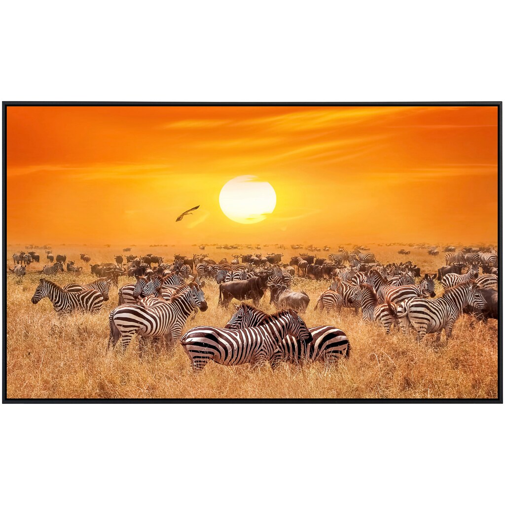 Papermoon Infrarotheizung »Afrikanische Antilopen und Zebras«, sehr angenehme Strahlungswärme